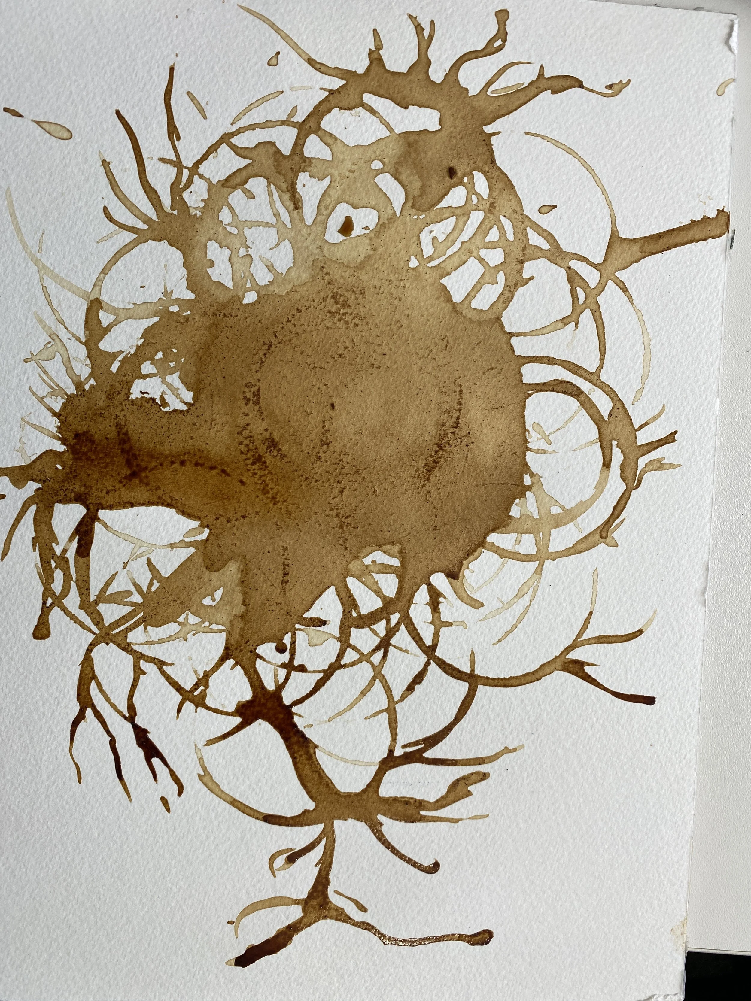 a slighly manic bird in coffee