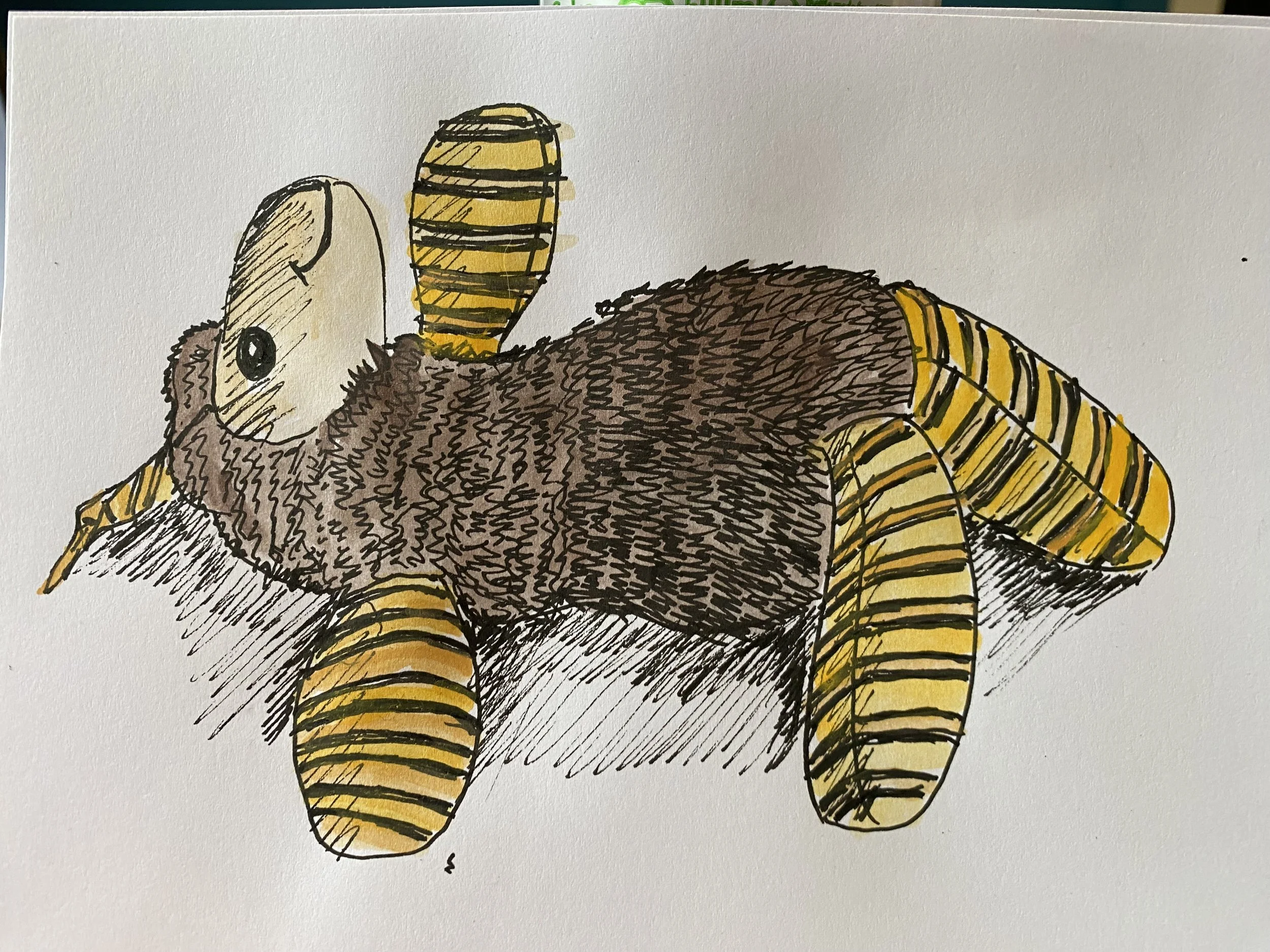 Ajay's earless teddy