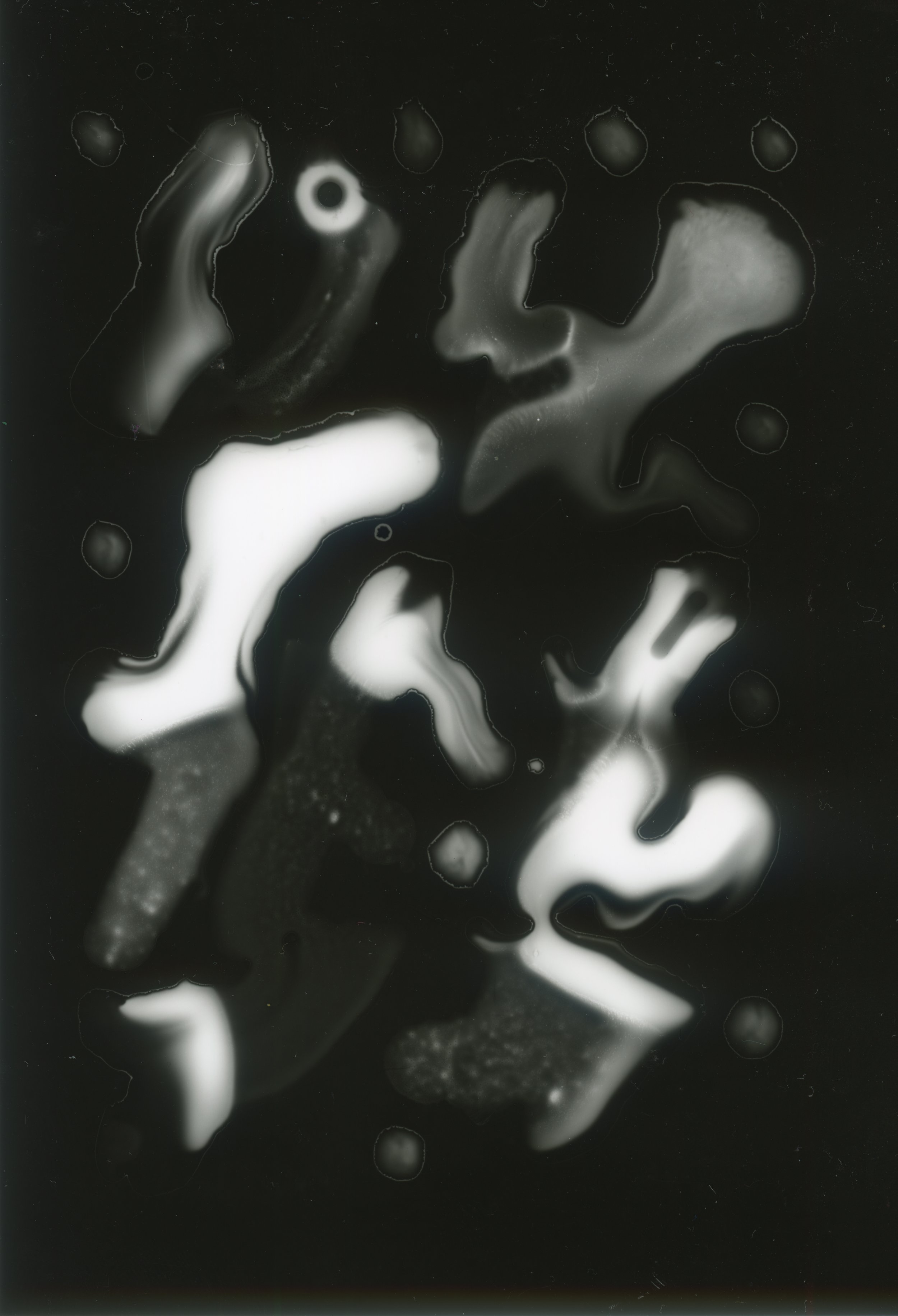_LAB_FOTOGRAMAS017.jpg