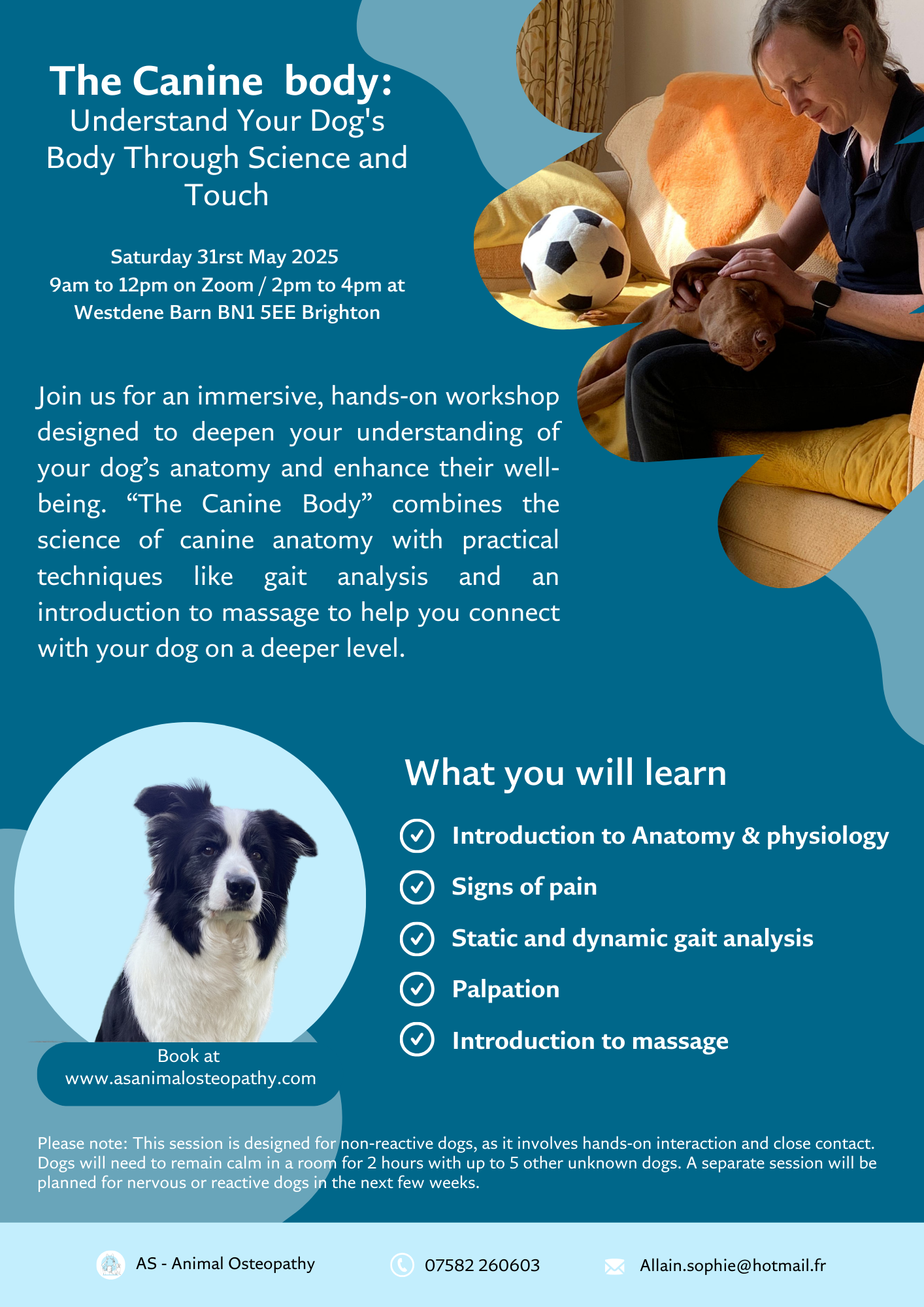 Cream Paws Illustration Dog Walker Flyer.png