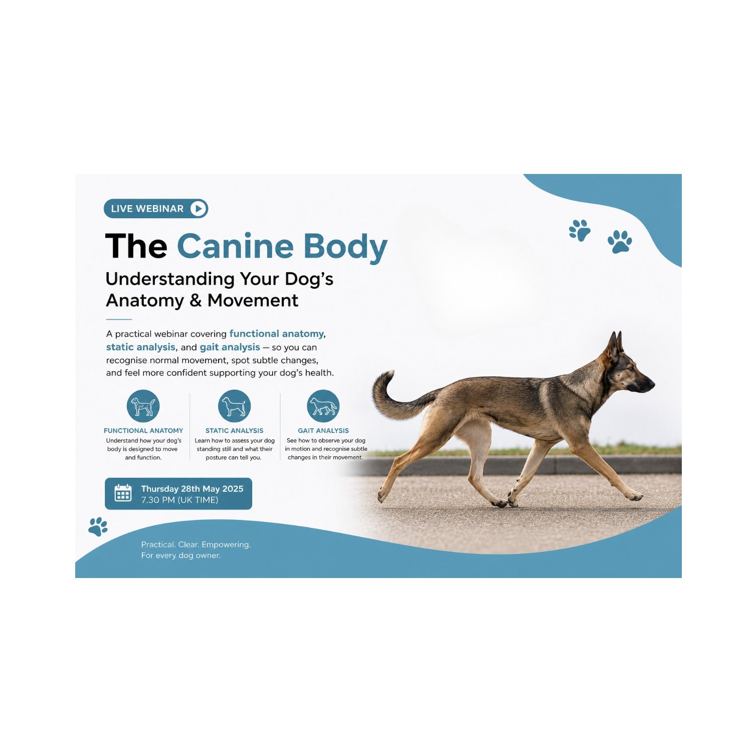 The Canine Body  Understanding Your Dog’s Anatomy & Movement  Live webinar