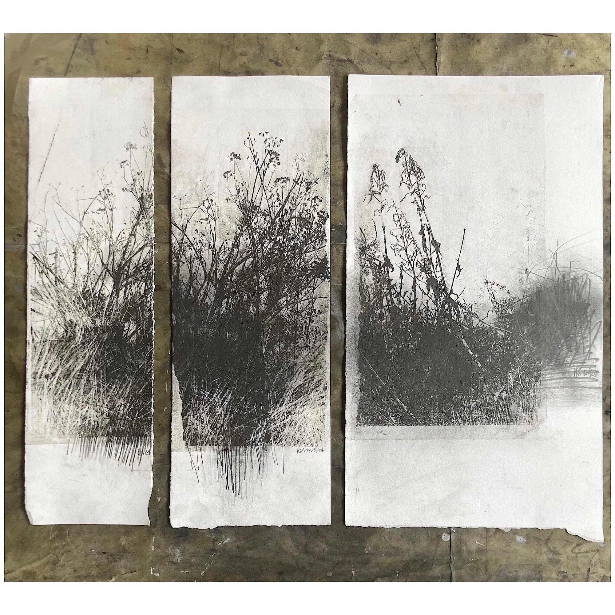 Threesy… really enjoy lining these up into larger stories…
Paper lithography prints derived from photography and drawing elements worked over with graphite and more drawing…
Part of my ongoing investigation into our coastal Wil