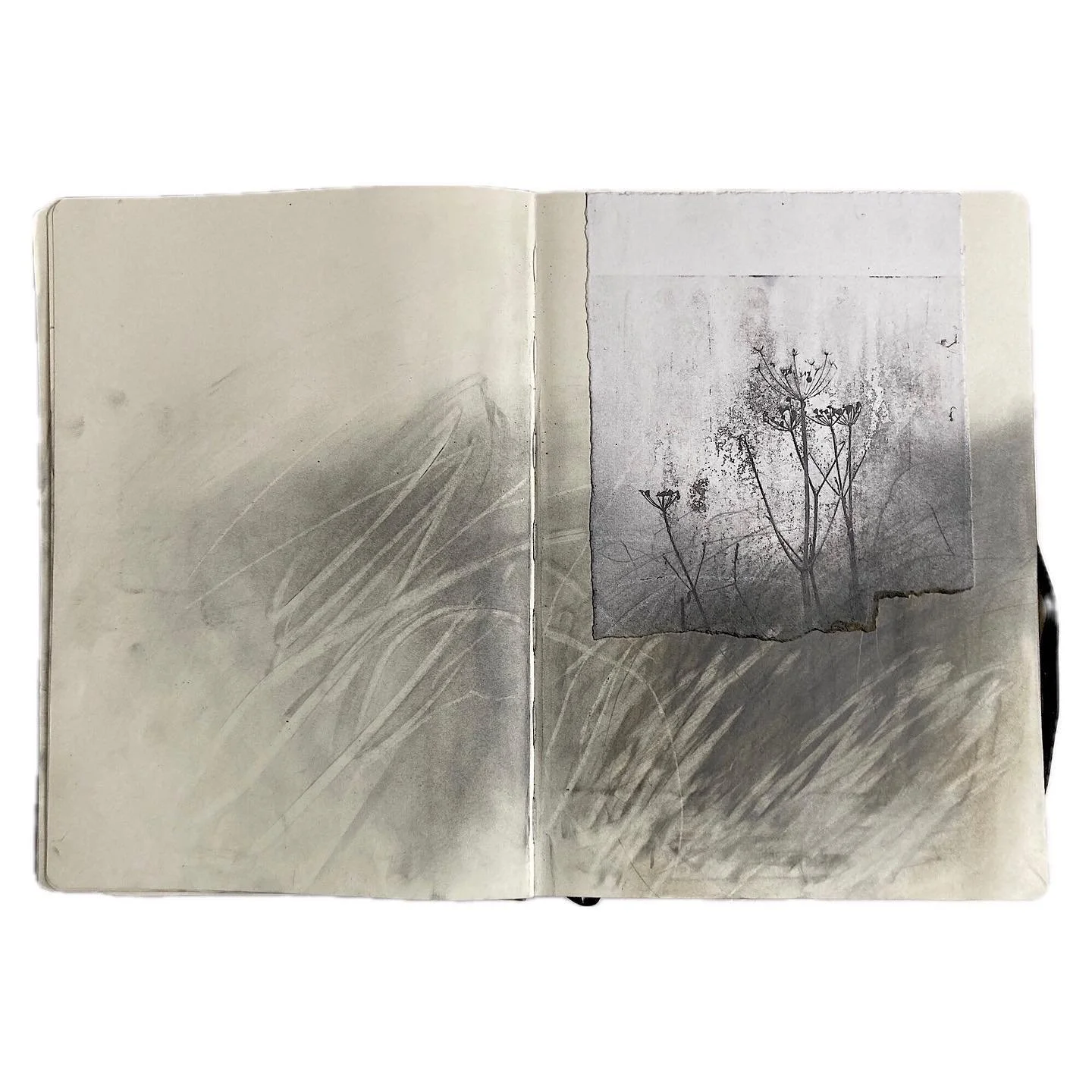 Sketchbookery using print collage… love the ink ‘noise’ on this paper lithography (swipe for close up)
Investigating the wild margins that border our coast paths down here in Cornwall. 
Wild, diverse, shelter, haven…
With g