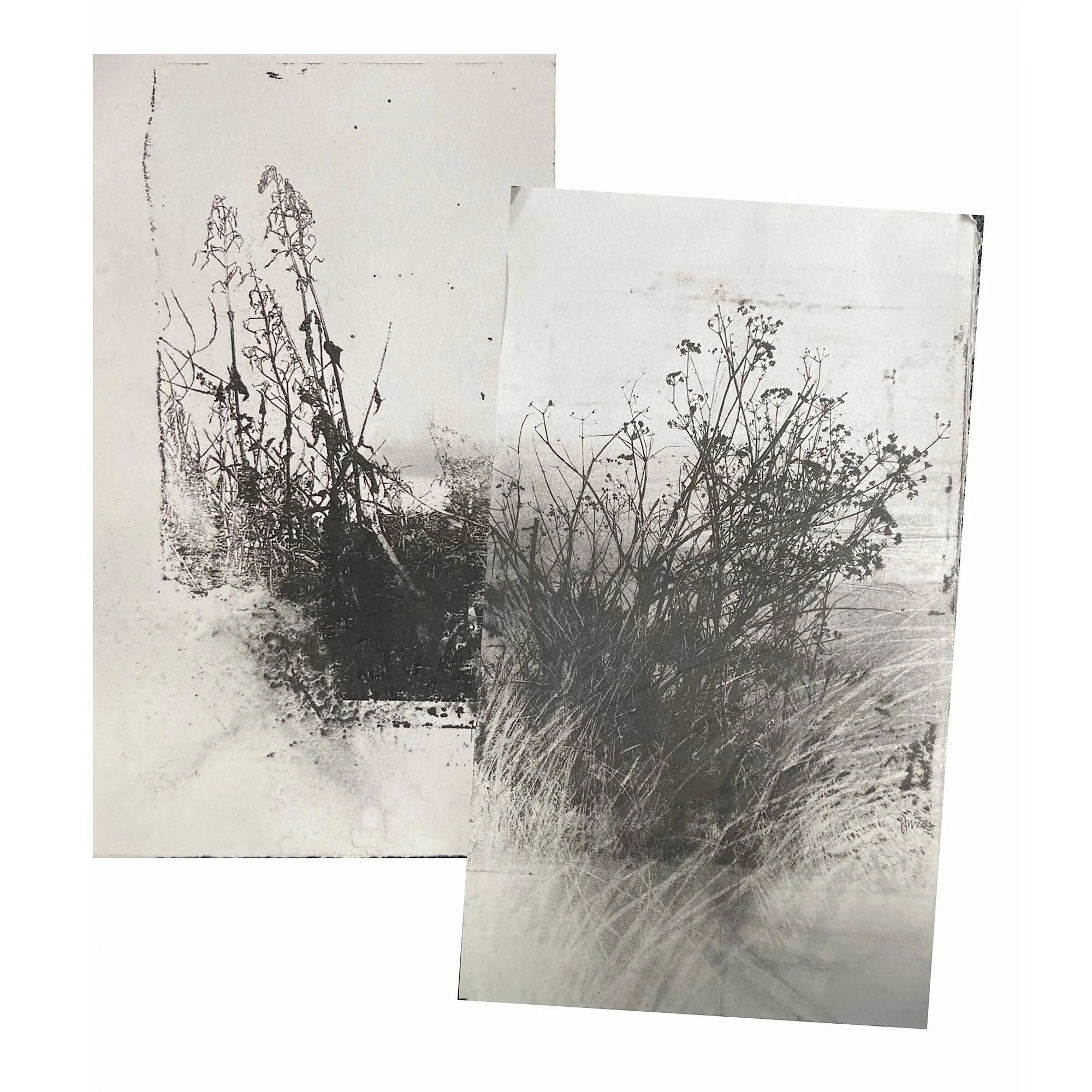 Getting some ideas for larger pieces by laying things on top of one another…
Paper lithography prints and graphite
Peaceful, grateful Sunday🌺
.
.
.
.
.
 #printmakingprocess #printmaking #printstagram #contemporaryprintmaking #originalprint