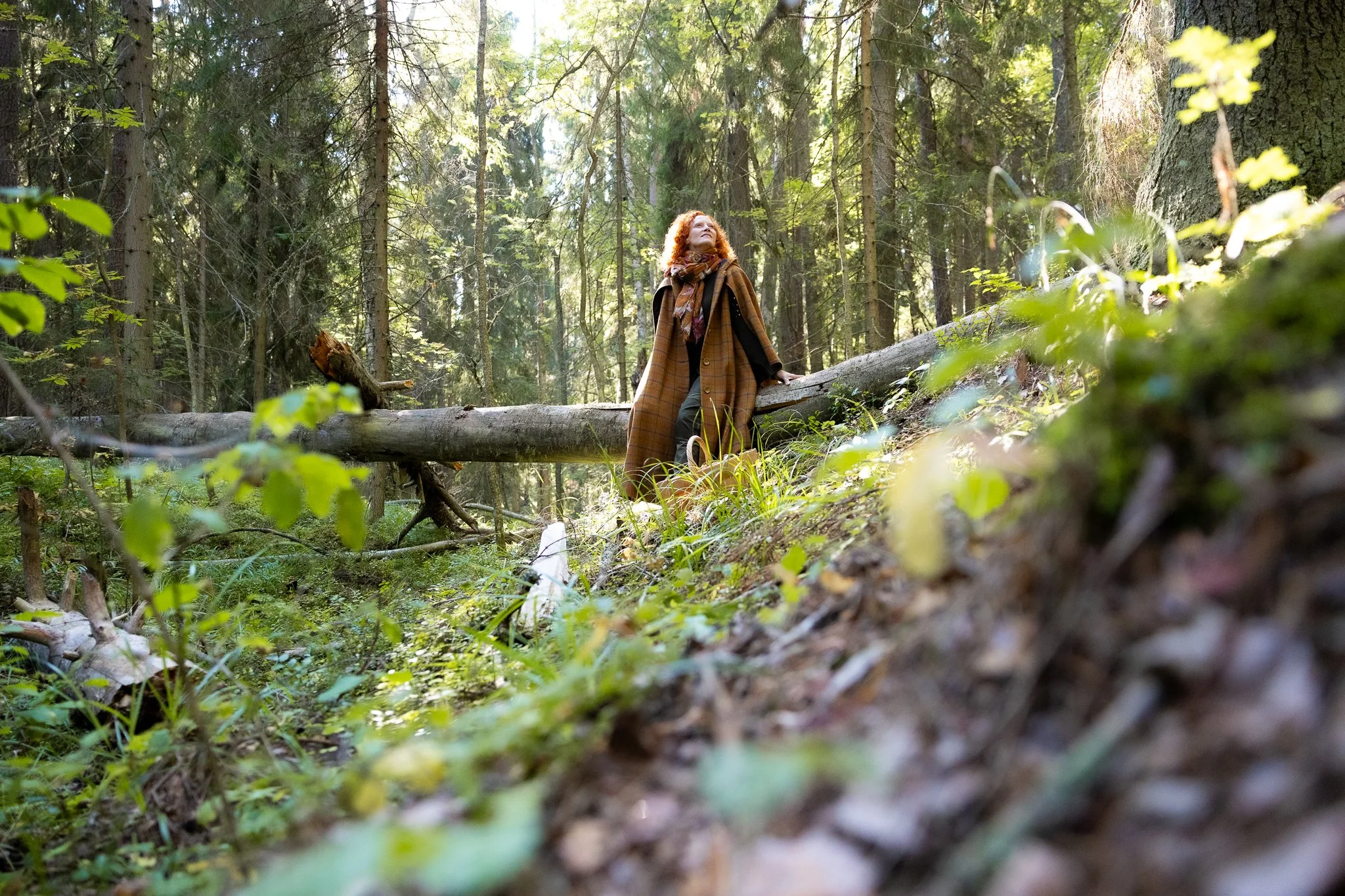 2025_Lake Saimaa_Saimi_sienet & marjat_lowres-2404.jpg