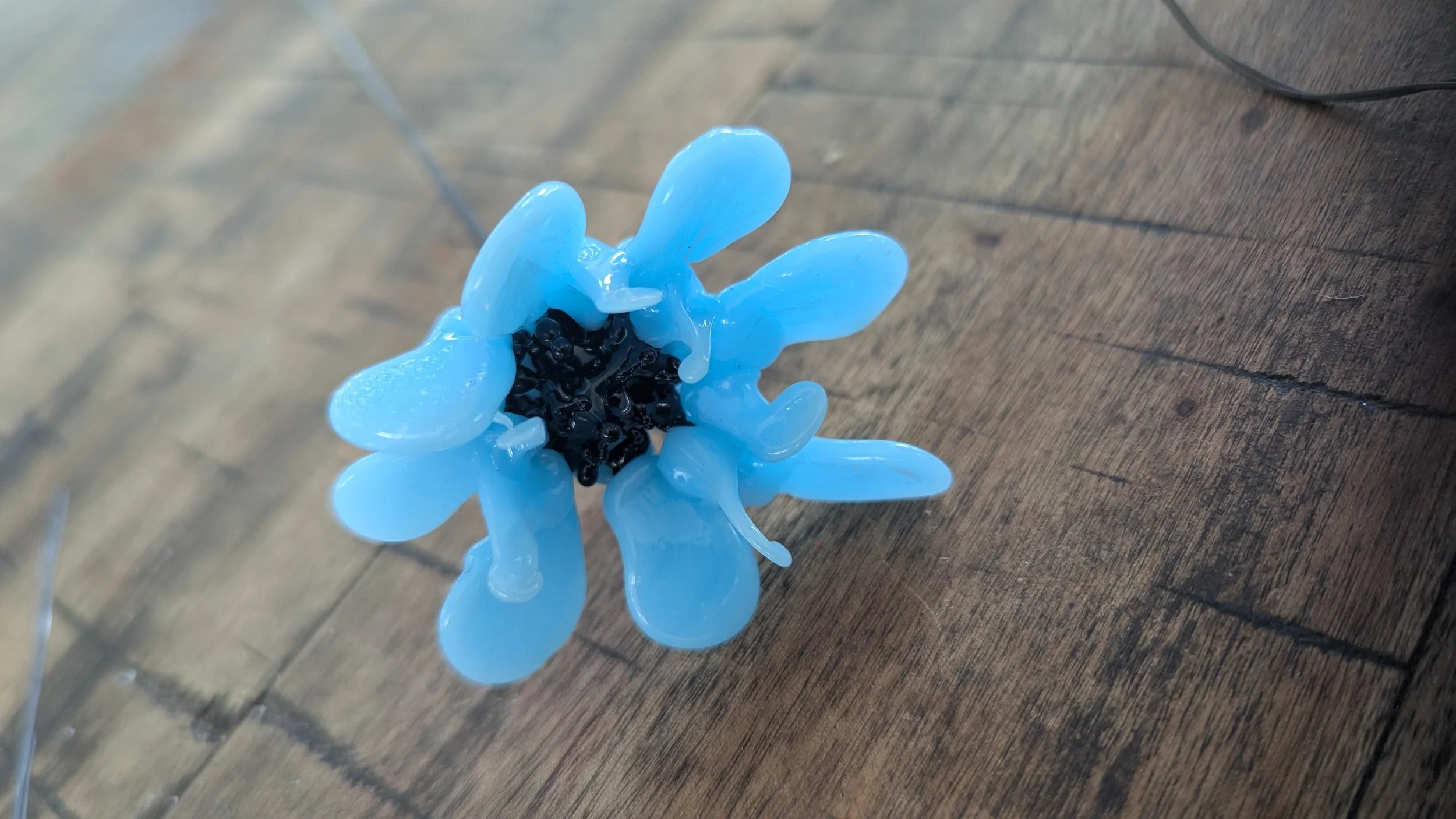 Blue daisy.jpg