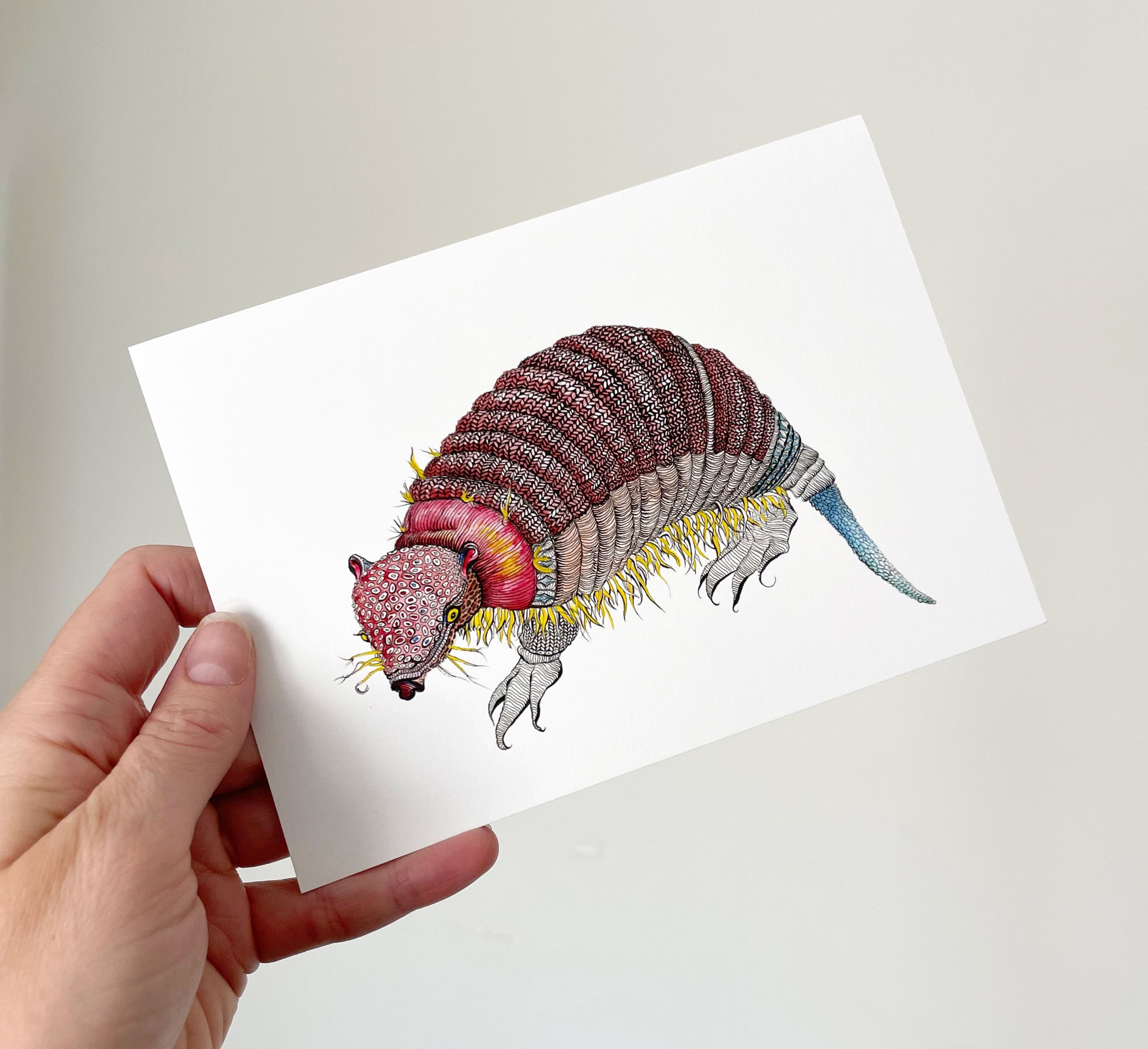 Armadillo