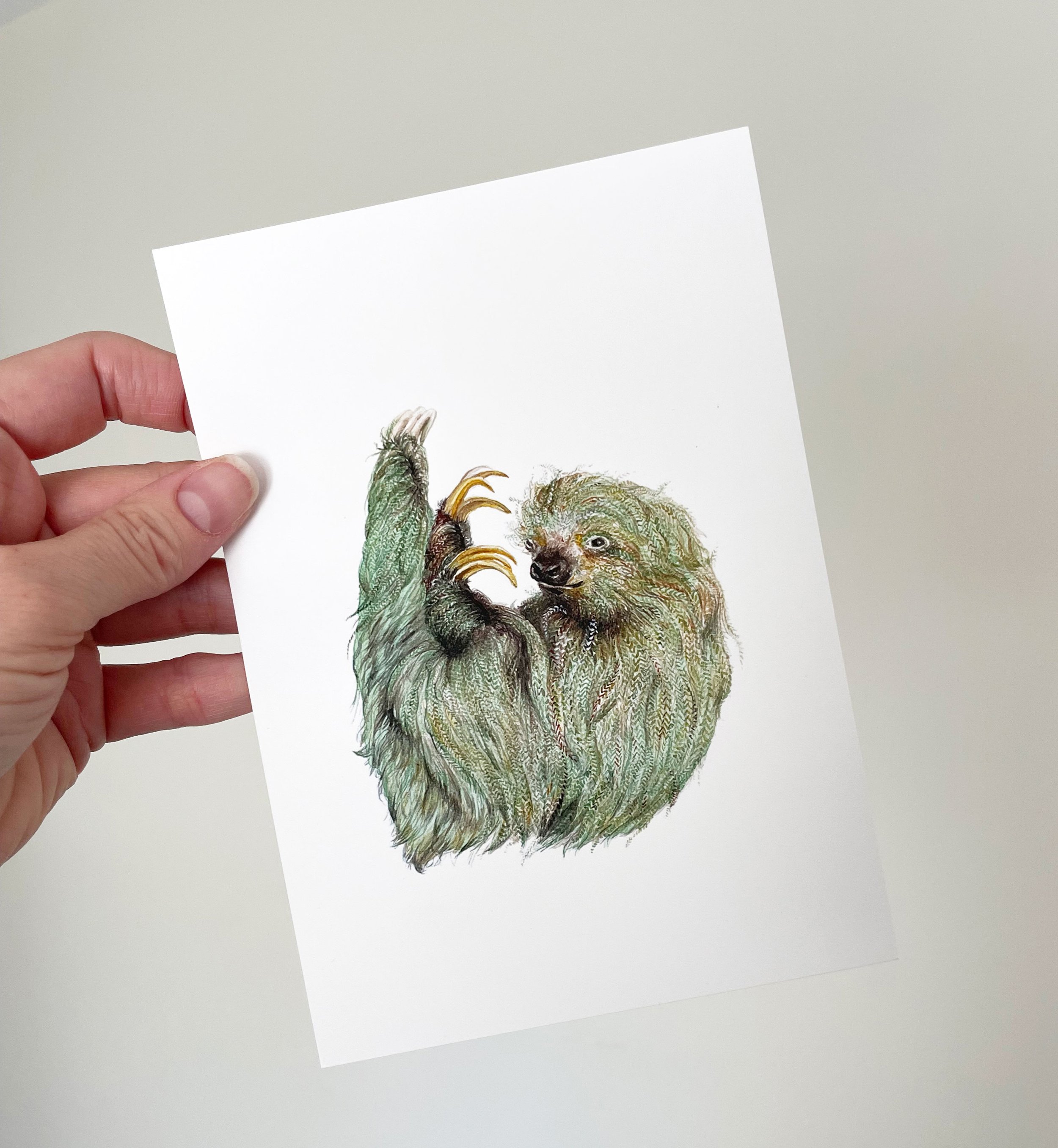 sloth-unframed3.jpg