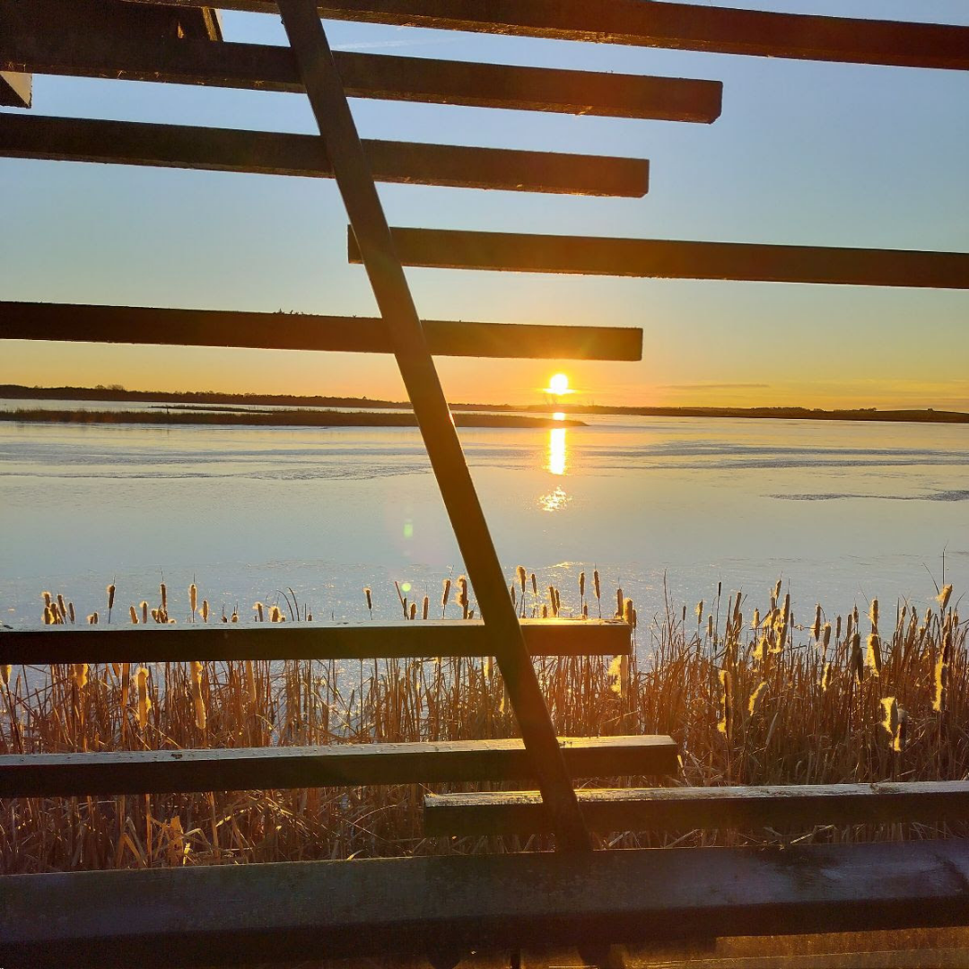 FRYLAND - JENSEN - KNOLD - SCHMITZ KVARTET