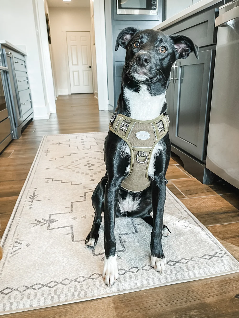 sarah blackbourn image4.JPEG