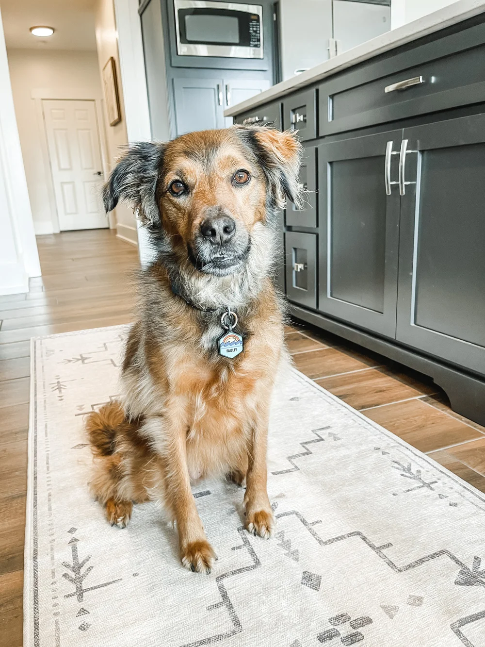 sarah blackbourn image5.JPEG