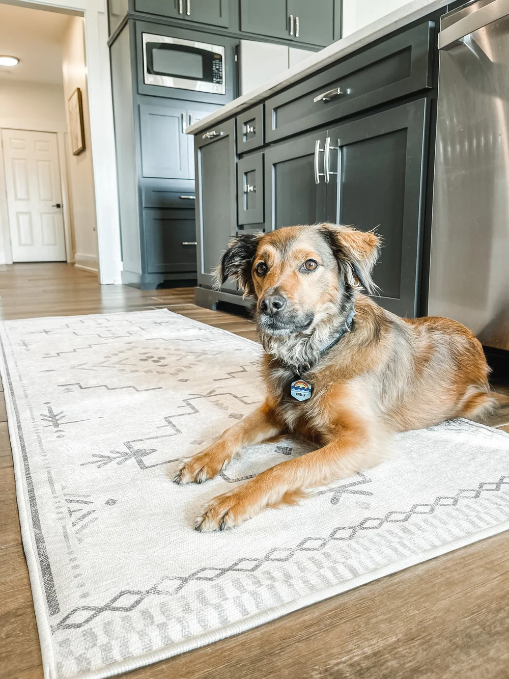 sarah blackbourn image6.JPG