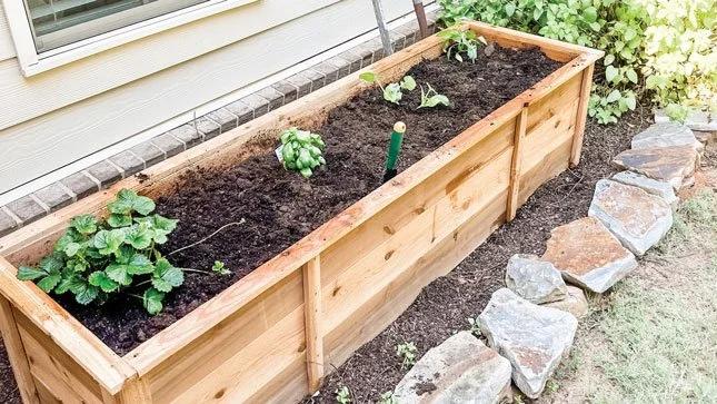 DIY Cedar Plant Box
