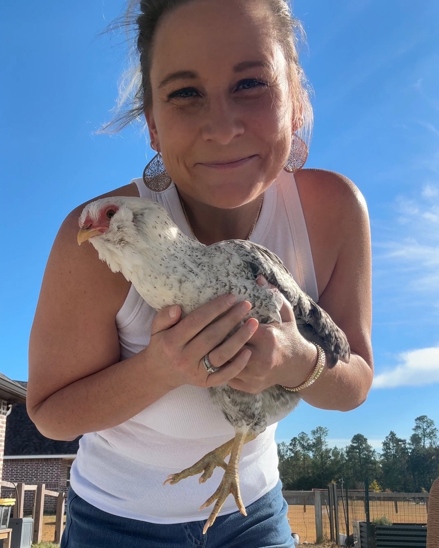 Good morning and happy Sunday from Olive and I. Hope everyone has a blessed day! #Godisgood #olivethechicken