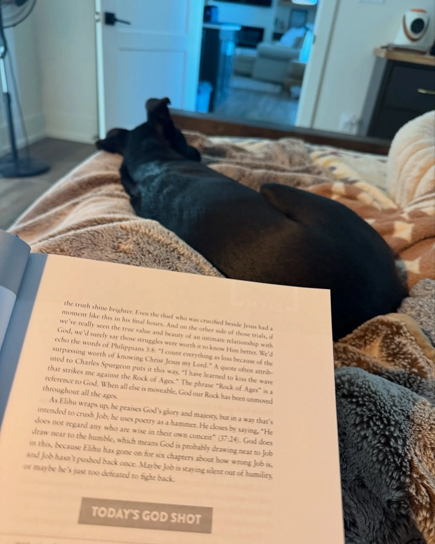 Update on living in a chronic flare up from #rheumatoidarthritis - I had some ups and downs this past week, but overall all, it has been better than the previous weeks and months. The weather REALLY affects how my day is going to play out. When there