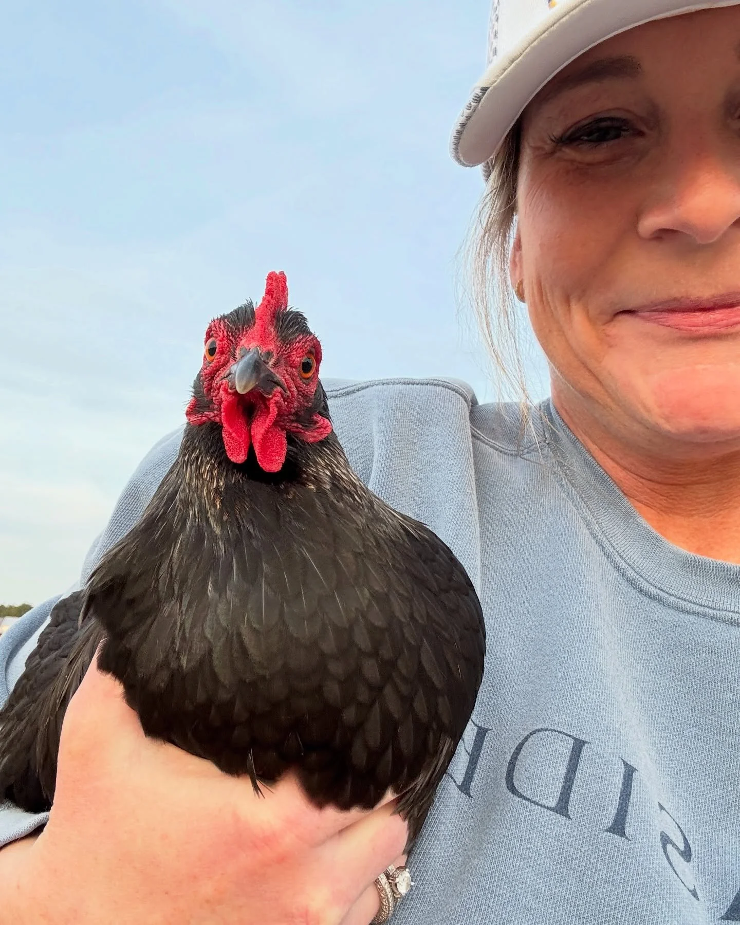 Polly!  She is why many of yall starting following me on here. Polly was my first girl to go broody and hatch babies (Pepper and Pickle). She&rsquo;s a boy mom through and through. I don&rsquo;t know her breed but I&rsquo;m certain she&rsquo;s a bant