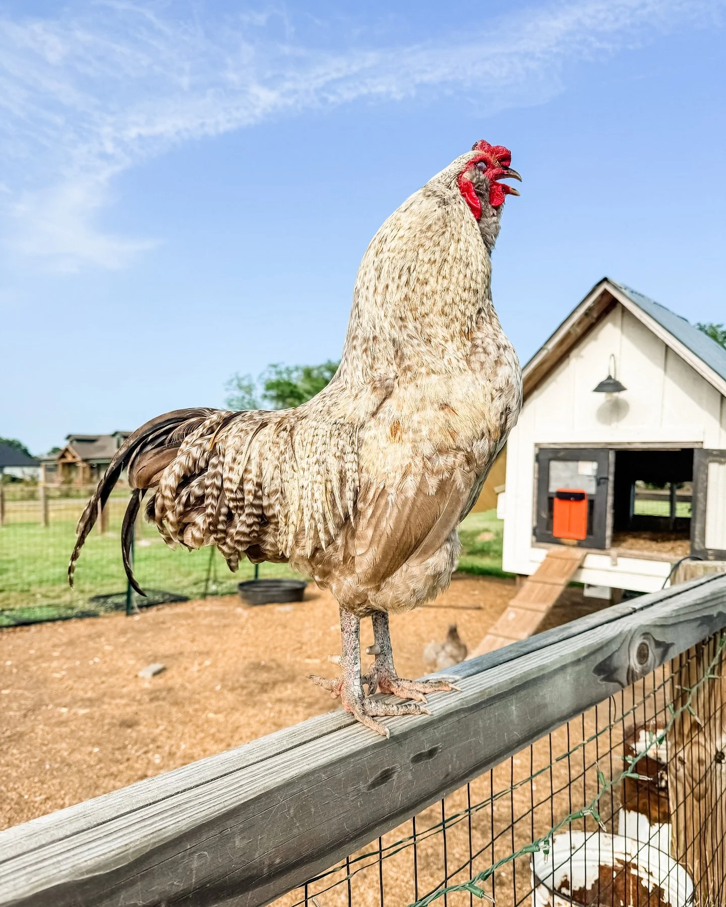 Good morning from Zipper!!