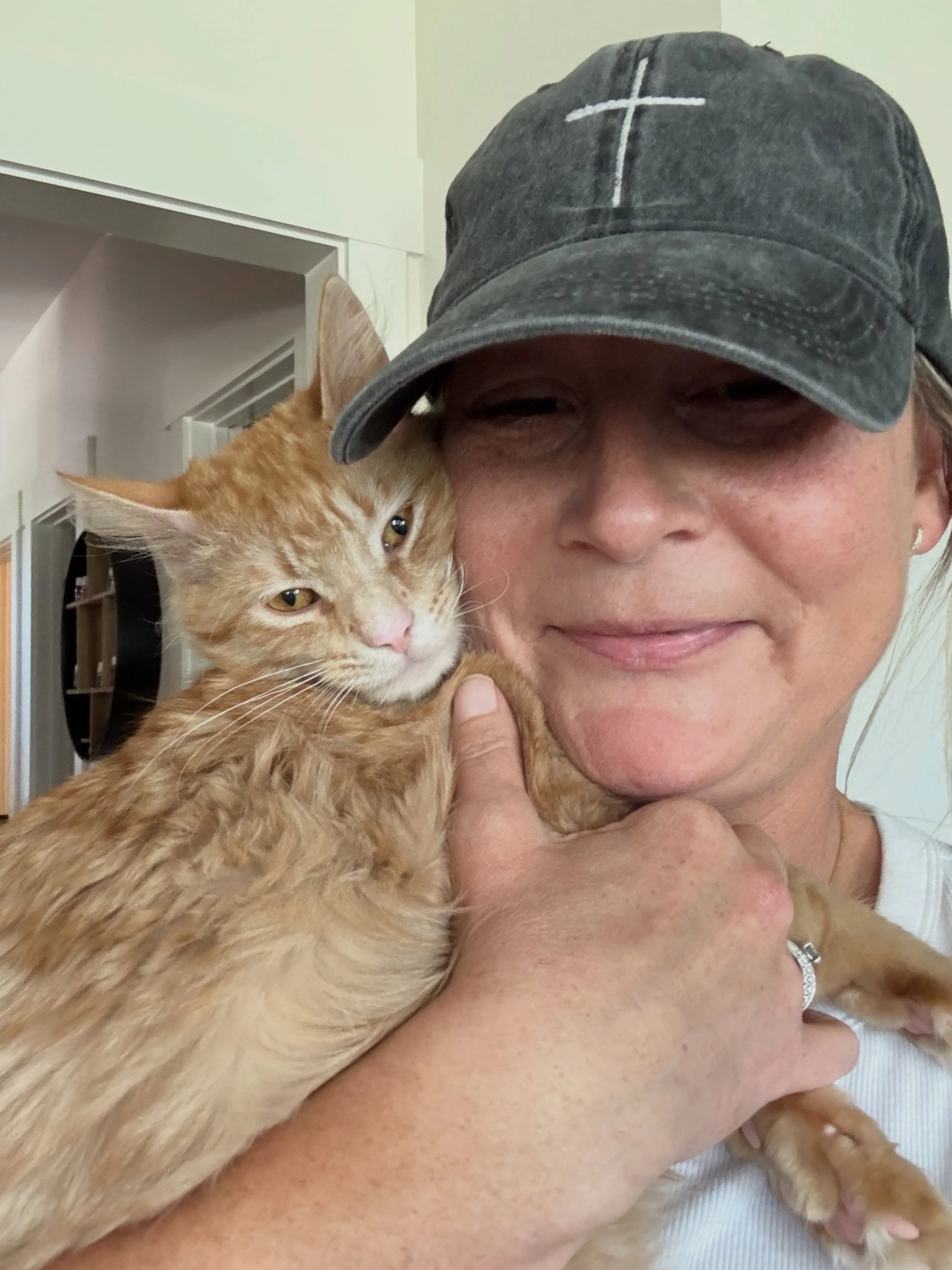 Sweetest little cuddle bug (but don&rsquo;t be fooled cuz his orange is starting to shine bright) #orangecat #rescue