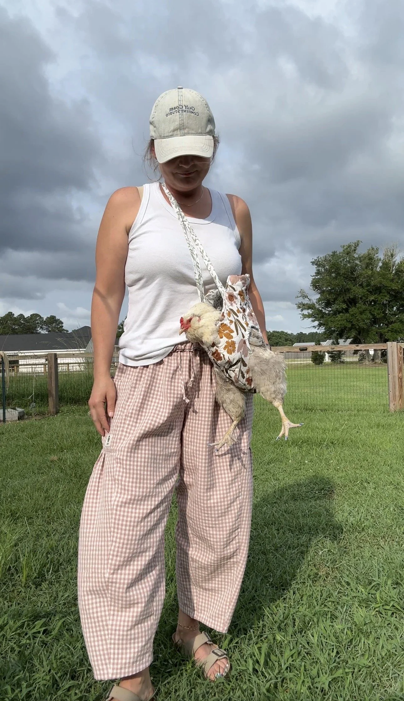 The Chicken Carrier
