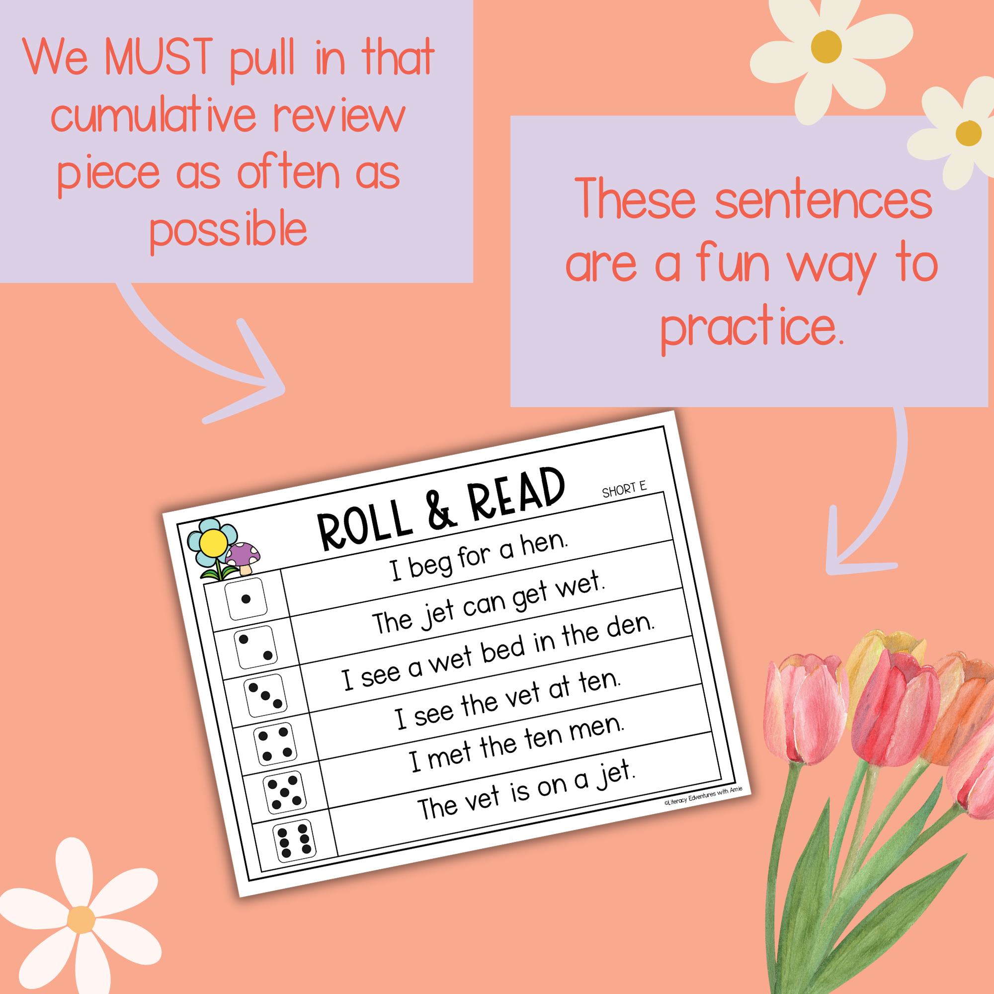 Spring Roll and Read Sentences (Science of Reading) — Literacy Edventures