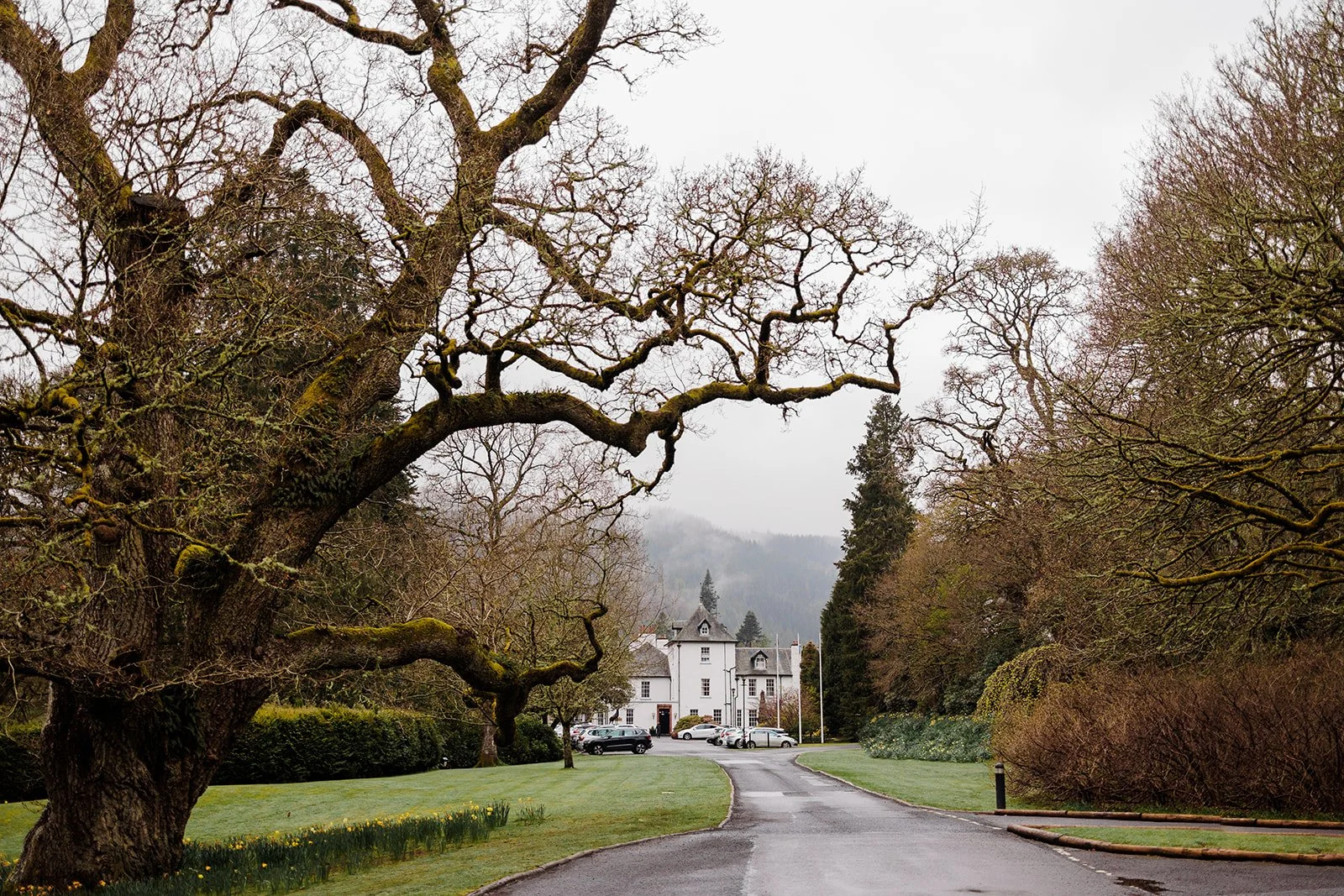 Katerina + Ian - Dunkeld House Hotel Wedding - Ruth Segaud Photography-1.jpg