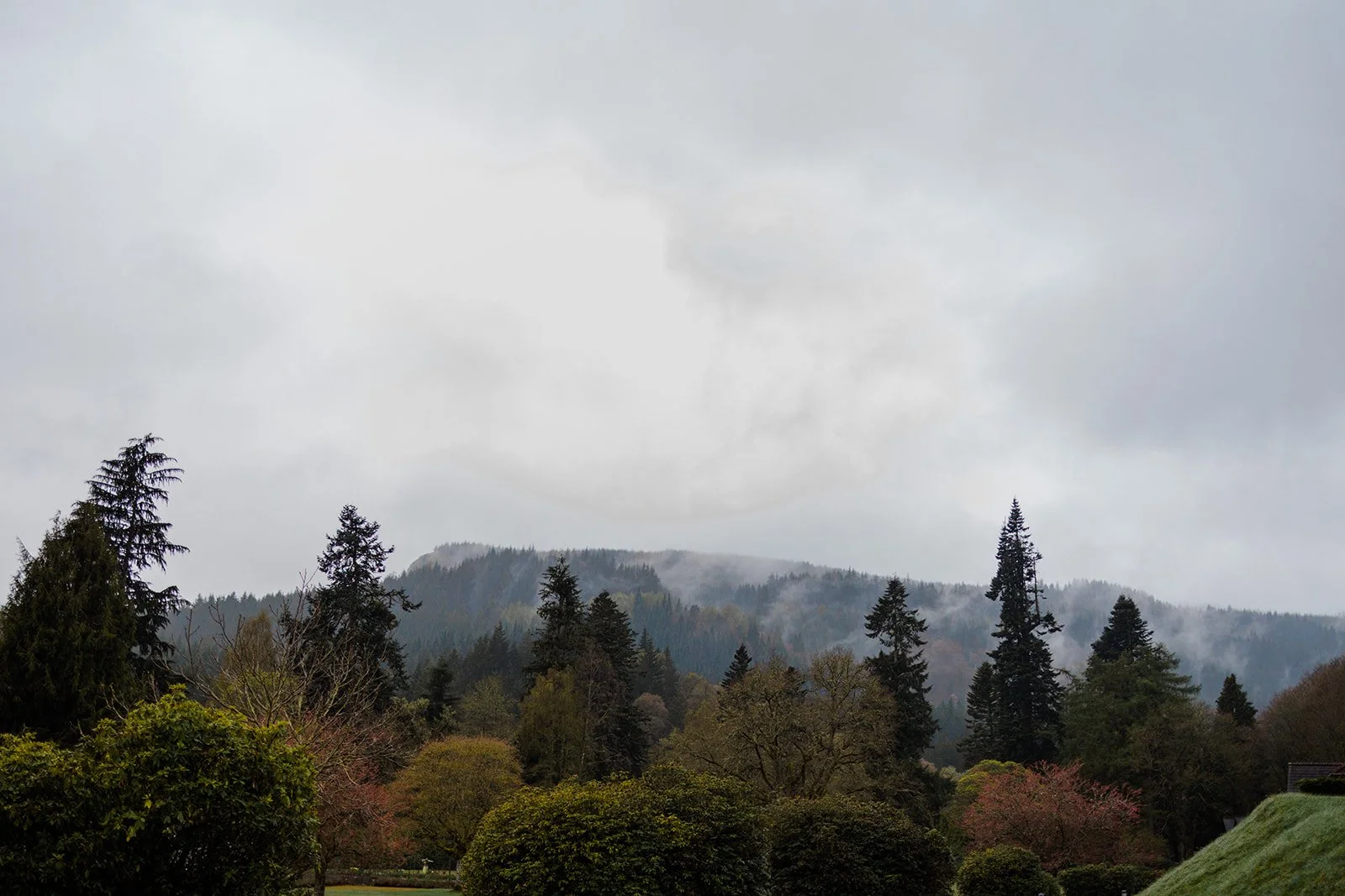 Katerina + Ian - Dunkeld House Hotel Wedding - Ruth Segaud Photography-109.jpg