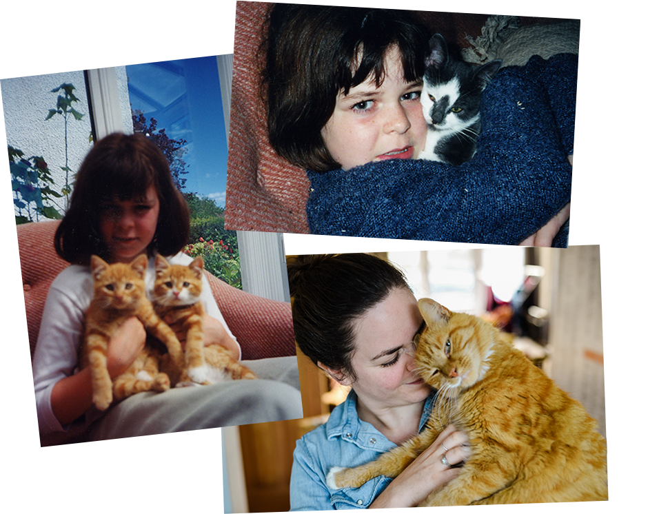 Three young women are each holding cats. One is hugging a black and white kitten, another is holding two orange kittens, and the third is cuddling an orange tabby cat.