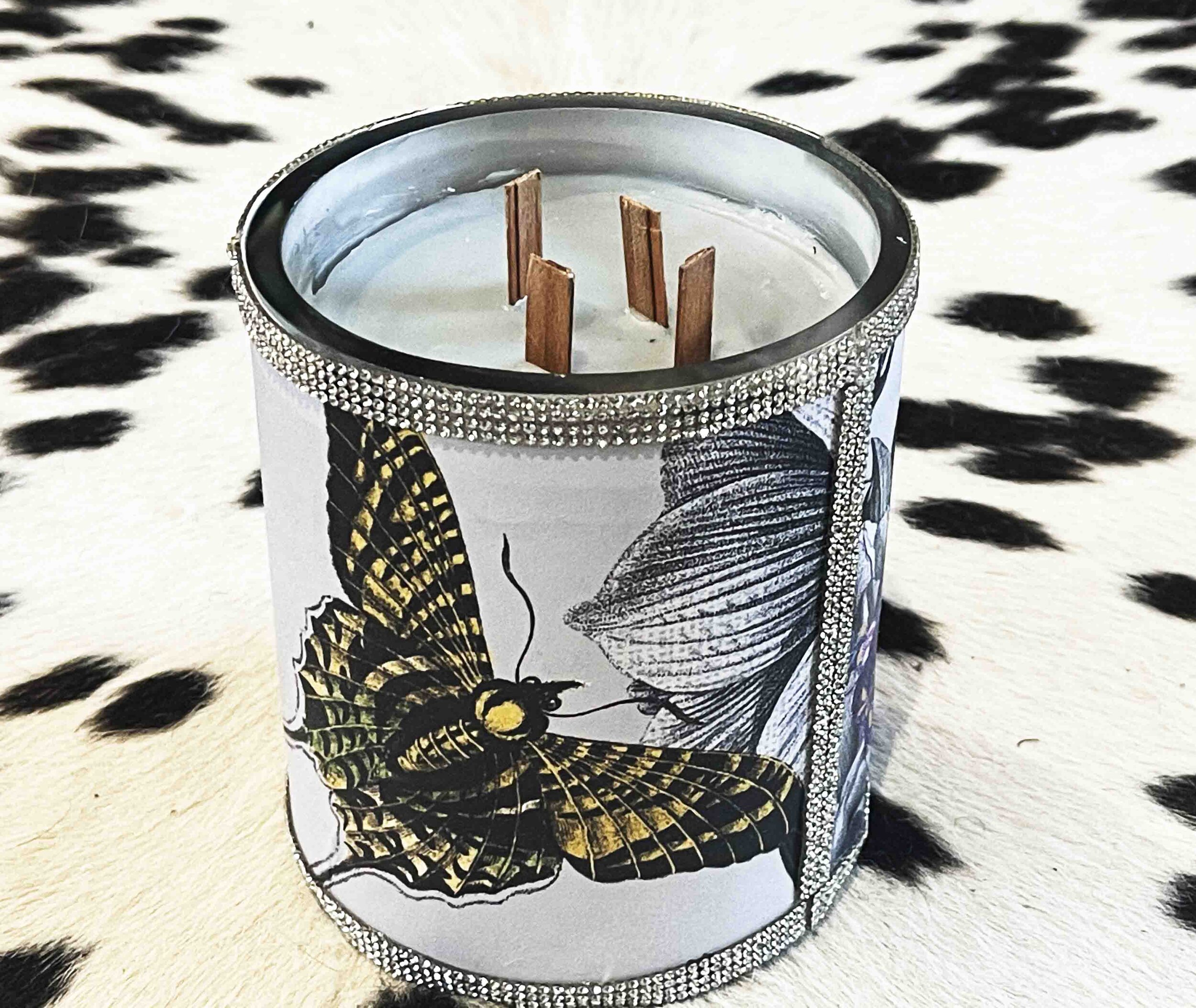 butterfly2.jpg