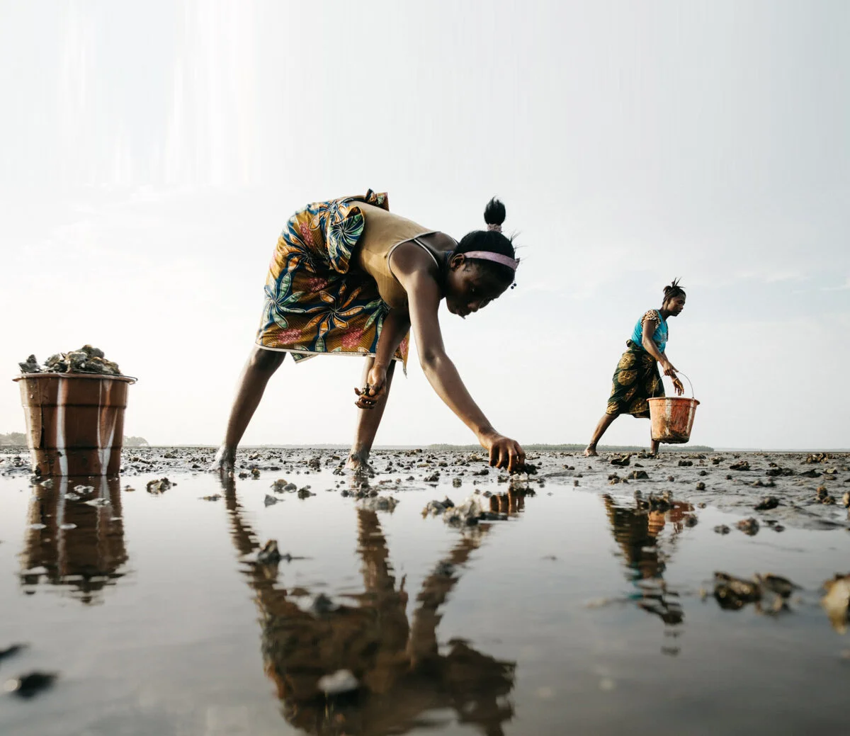 LOWRES_FUNNELL_20180504_SierraLeone_Oysters_19-07-14ARERE.jpg
