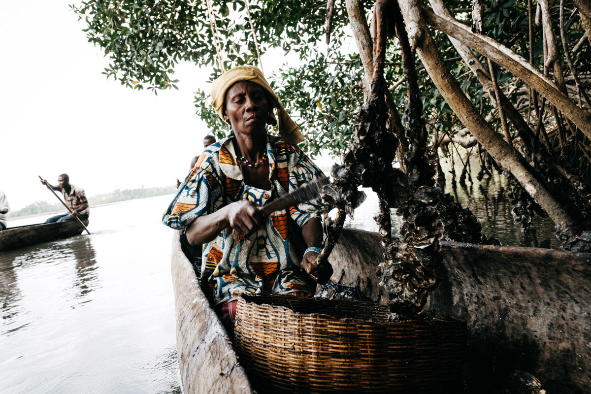 LOWRES_FUNNELL_20180503_SierraLeone_Oysters_10-16-33.jpg