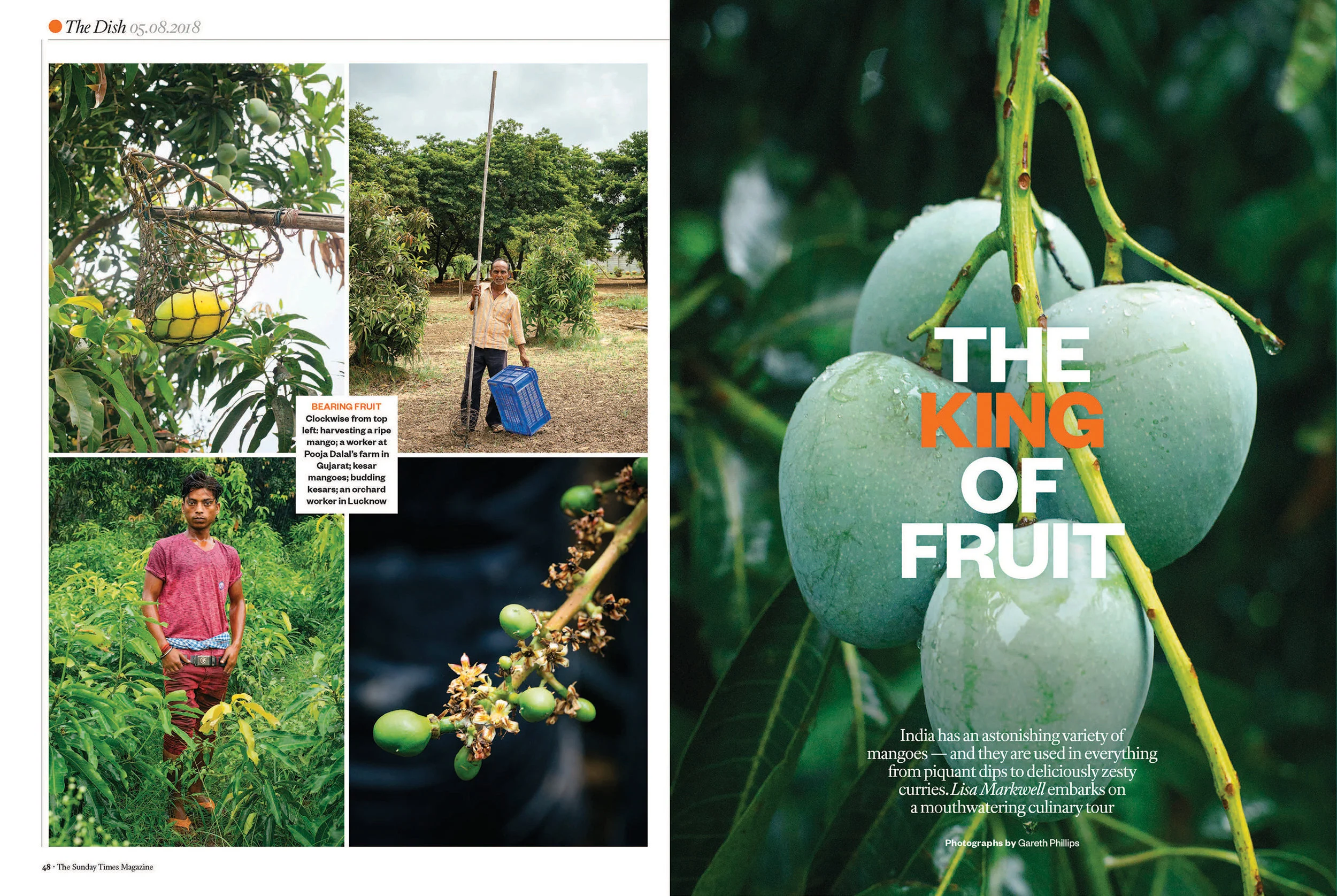 Sunday+Times_05-08-2018_Y1GG_p48.jpg