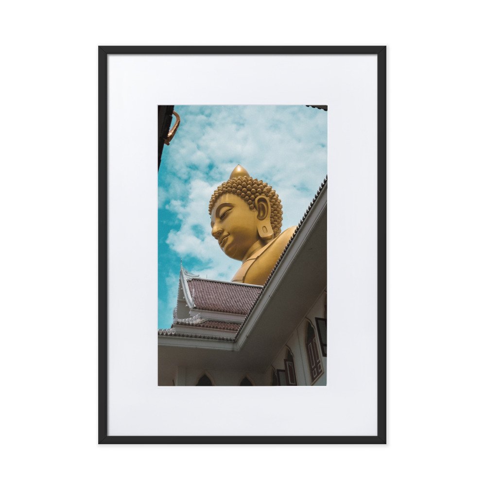 matte-paper-framed-poster-with-mat-(cm)-black-50x70-cm-transparent-656f1fc68d009.jpg
