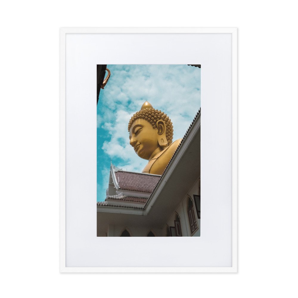 matte-paper-framed-poster-with-mat-(cm)-white-50x70-cm-transparent-656f1fc68d157.jpg