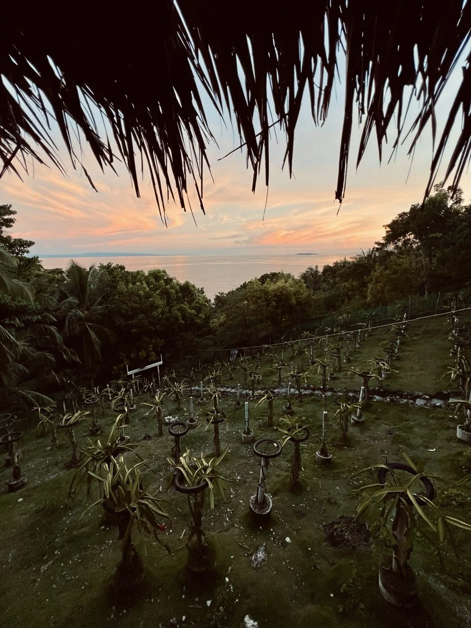 2022-08-28_18-00-26_765 Large.jpeg