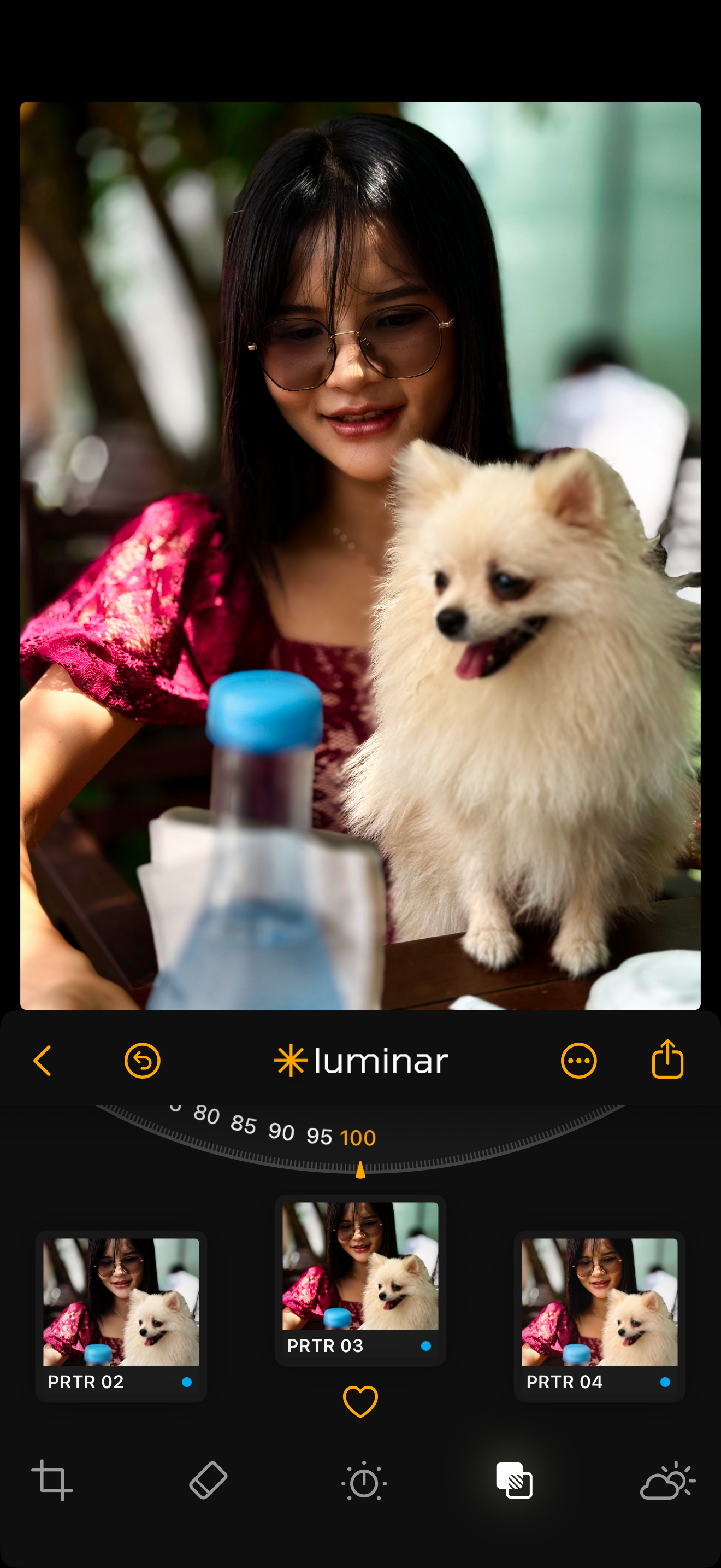 luminar_mobile_2.PNG