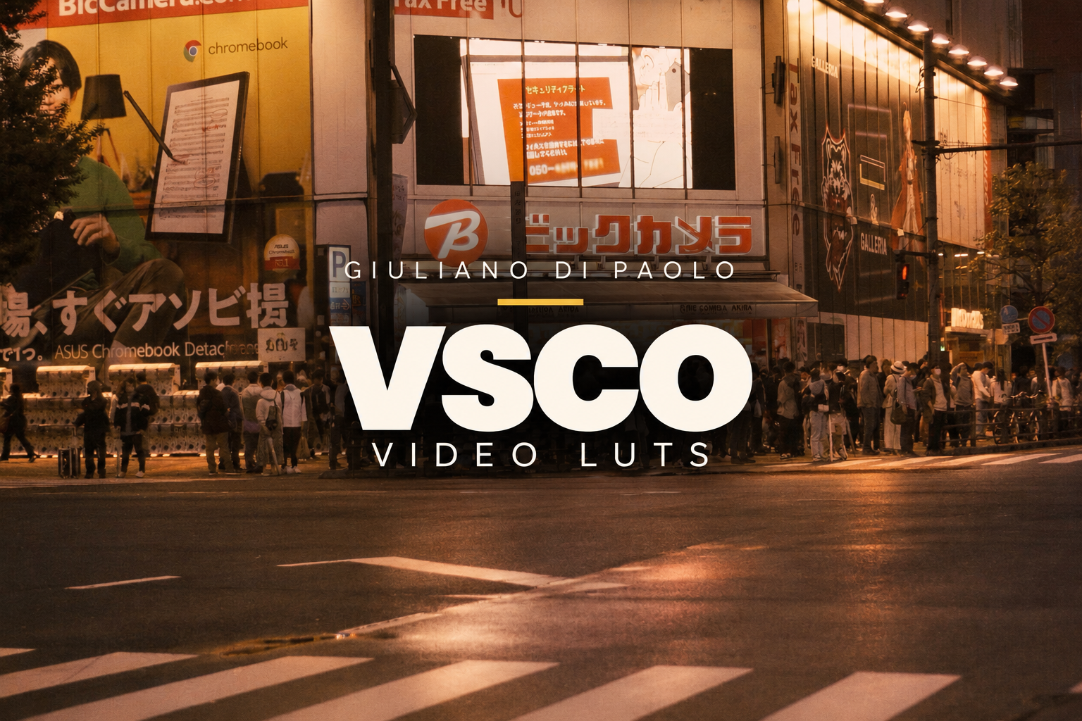 VSCO LUTs