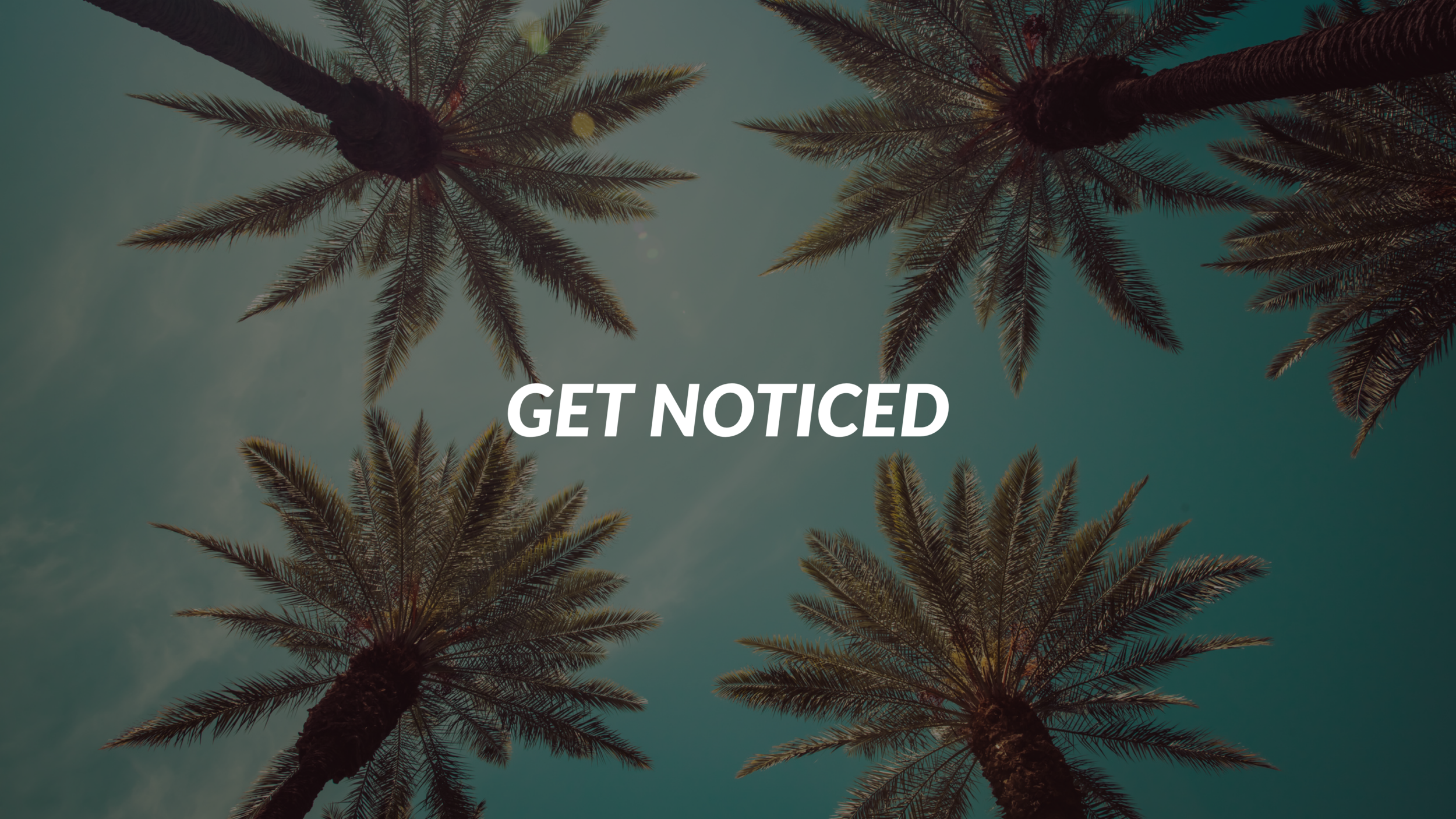 getnoticed.PNG