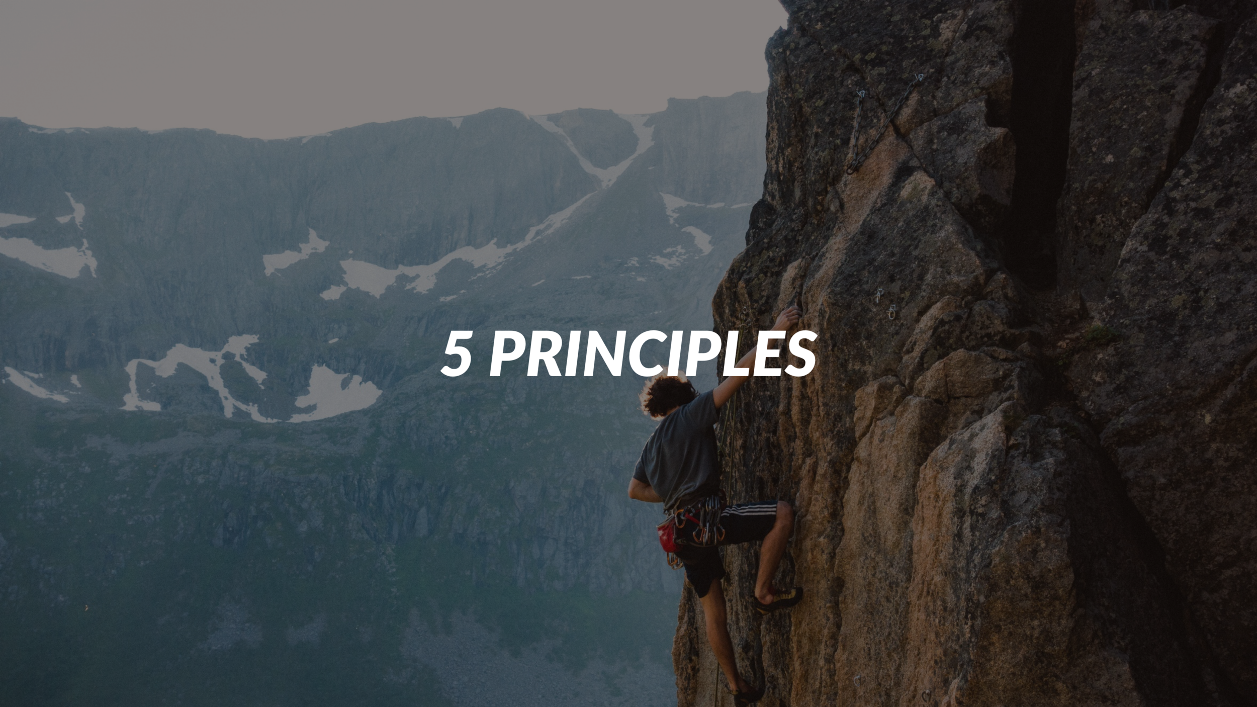 5principles.PNG