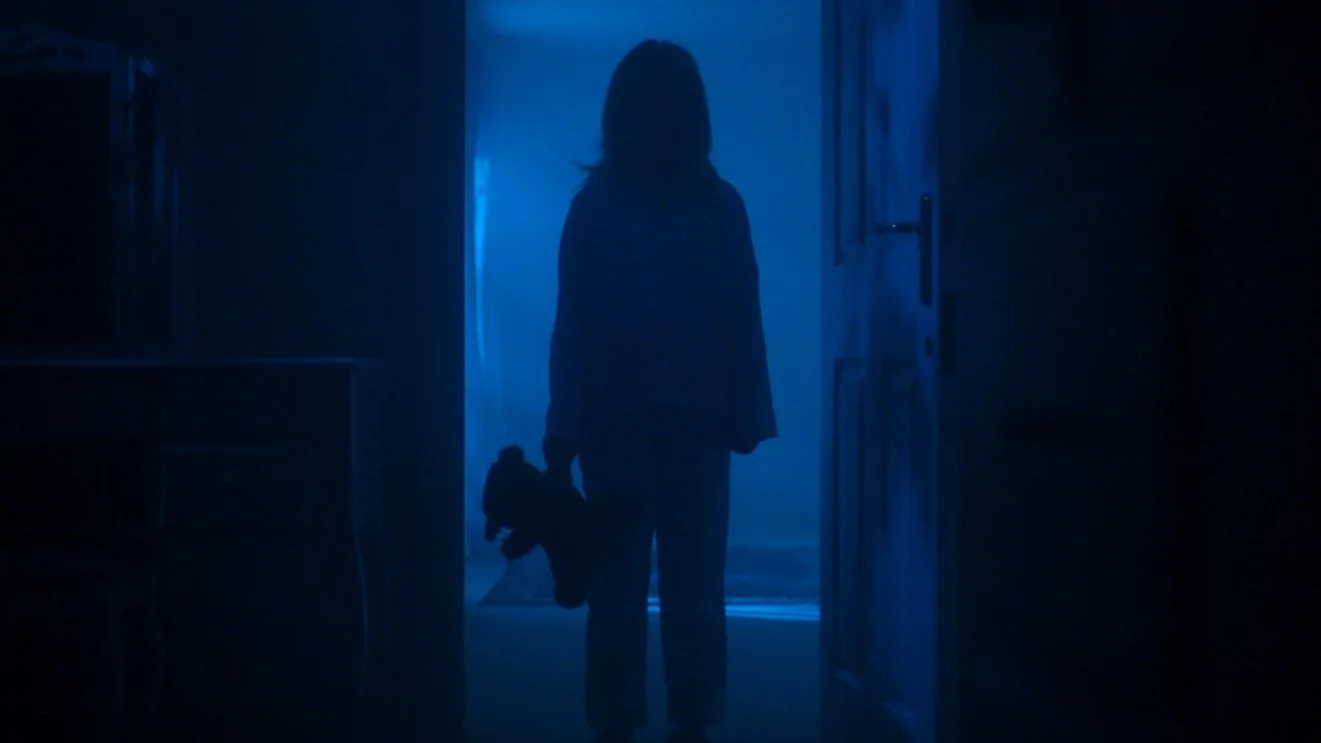 KIDNAPPED: ELIZABETH SMART (Netflix)