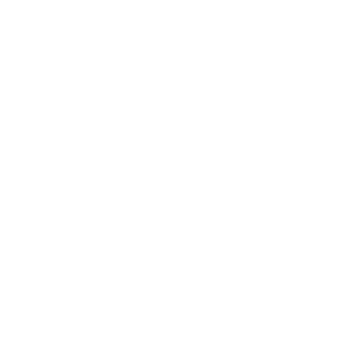 noun-strategy-7551217-FFFFFF.png