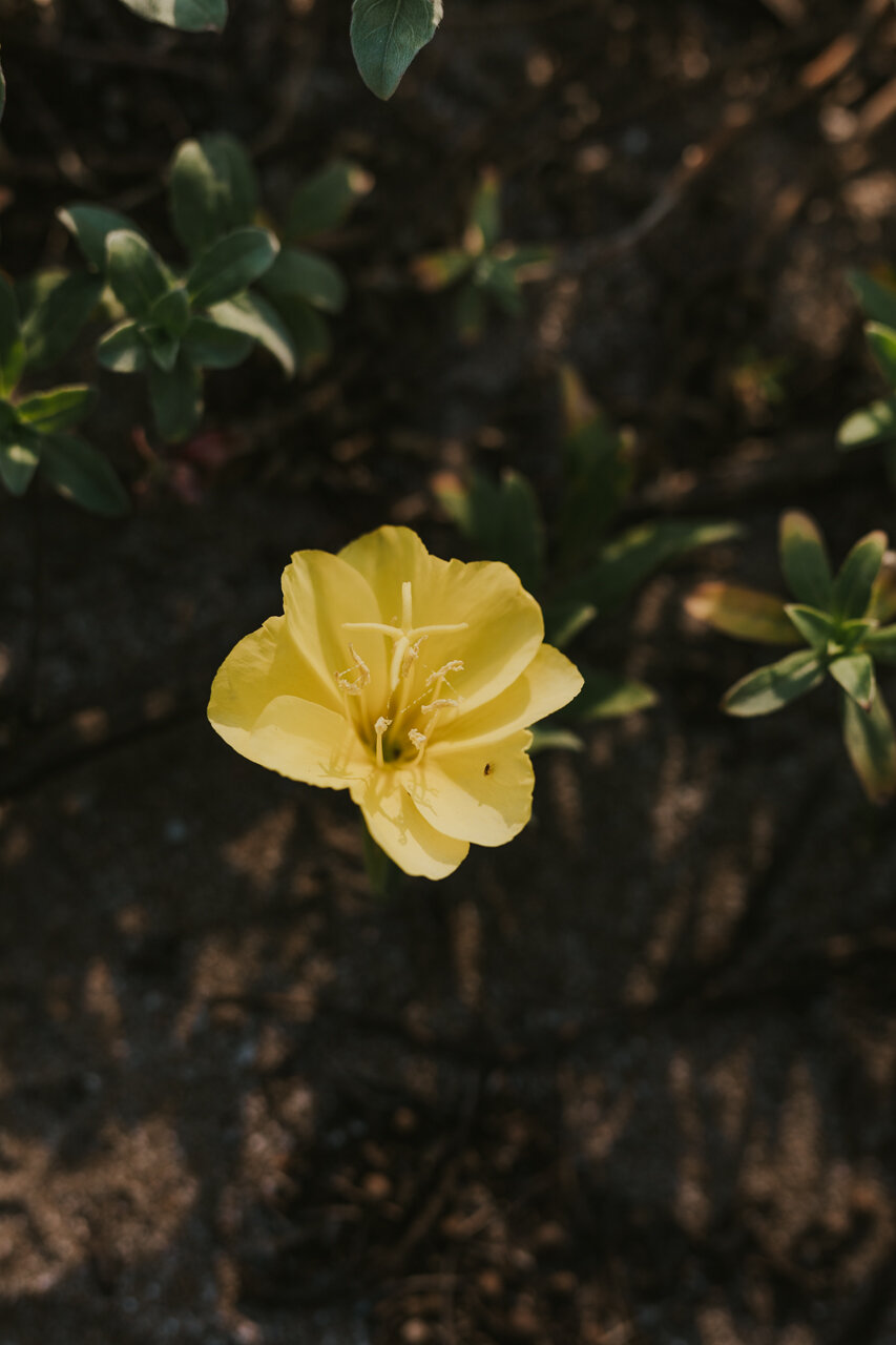CHT_8094.jpg