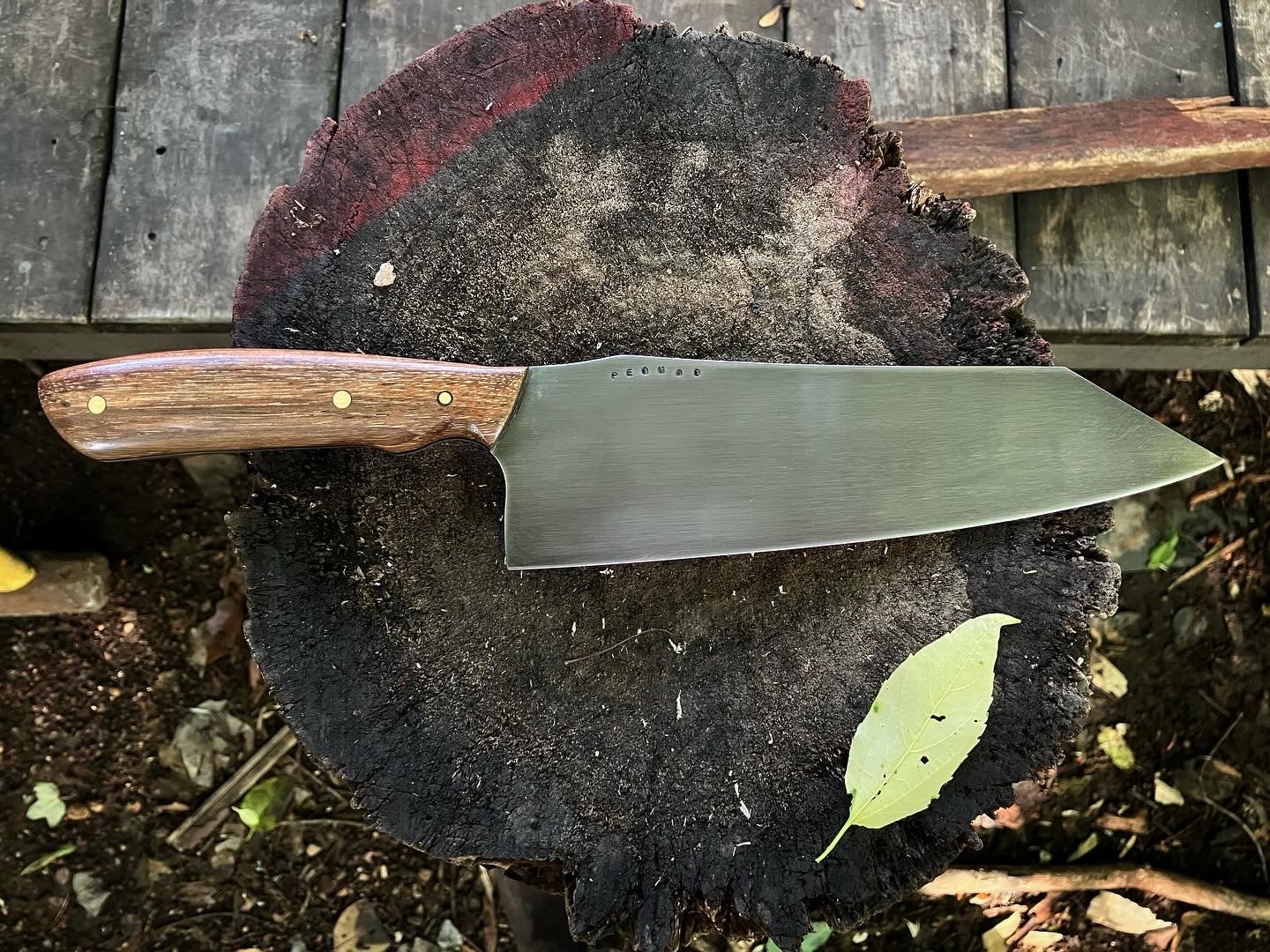PEQUOD front stump.jpg