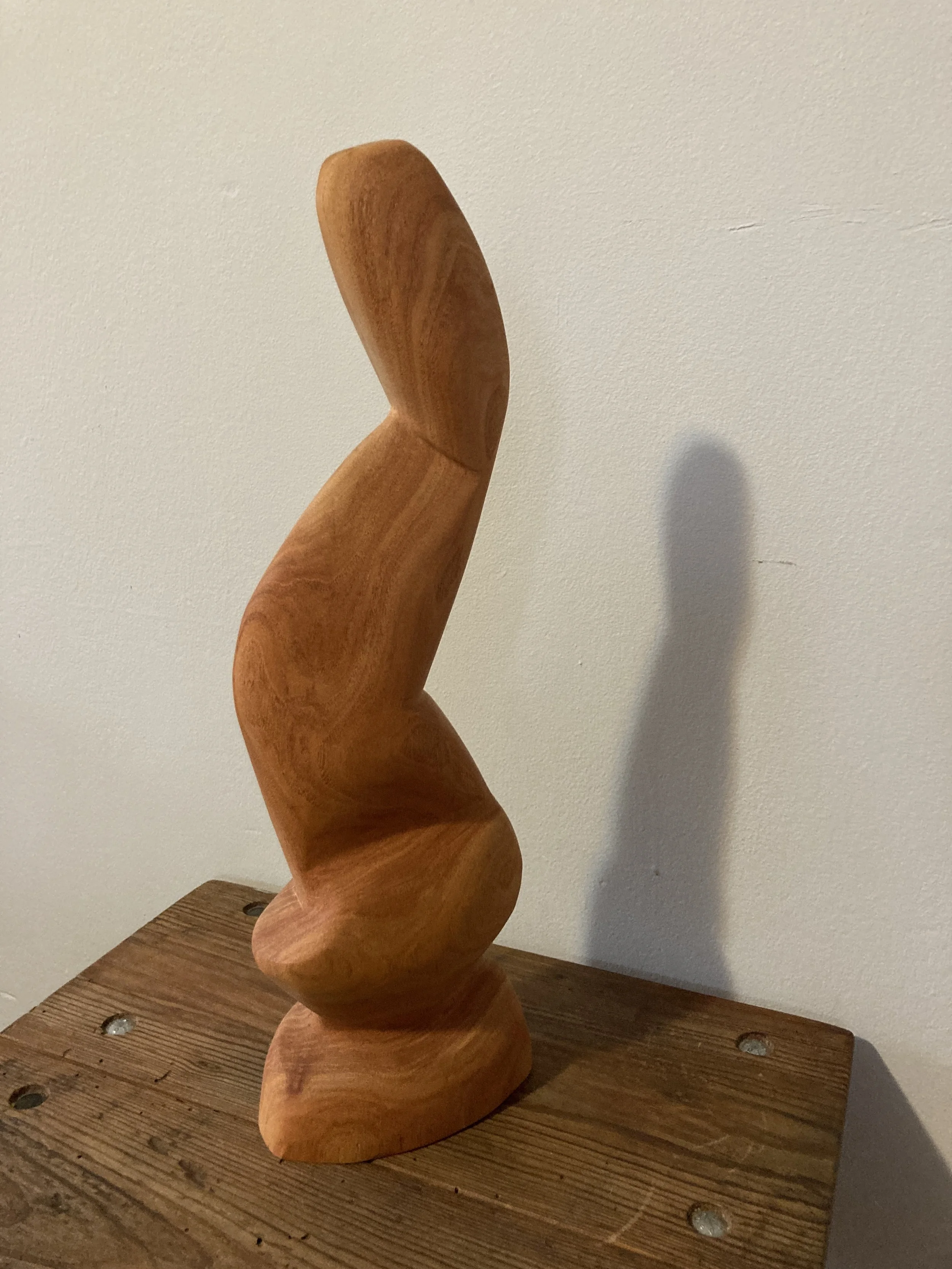 Honey Locust - 16.5" high - $600.