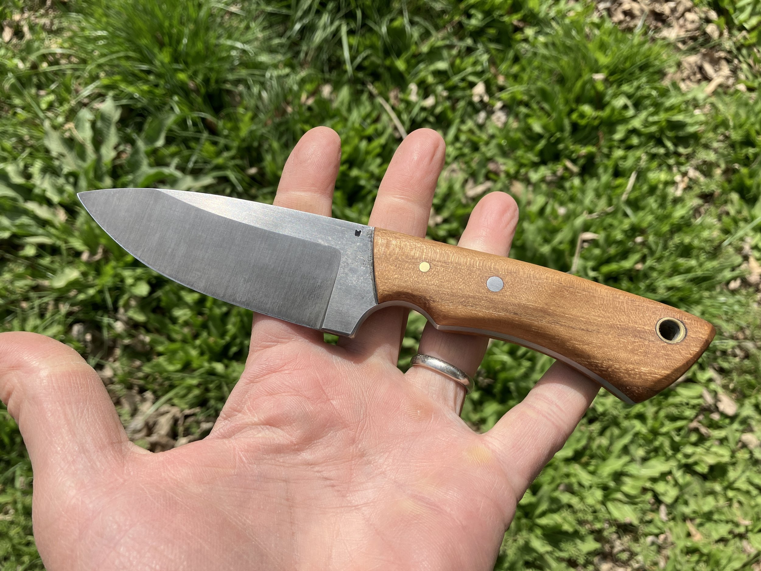 EAGLE - rear hand.JPG