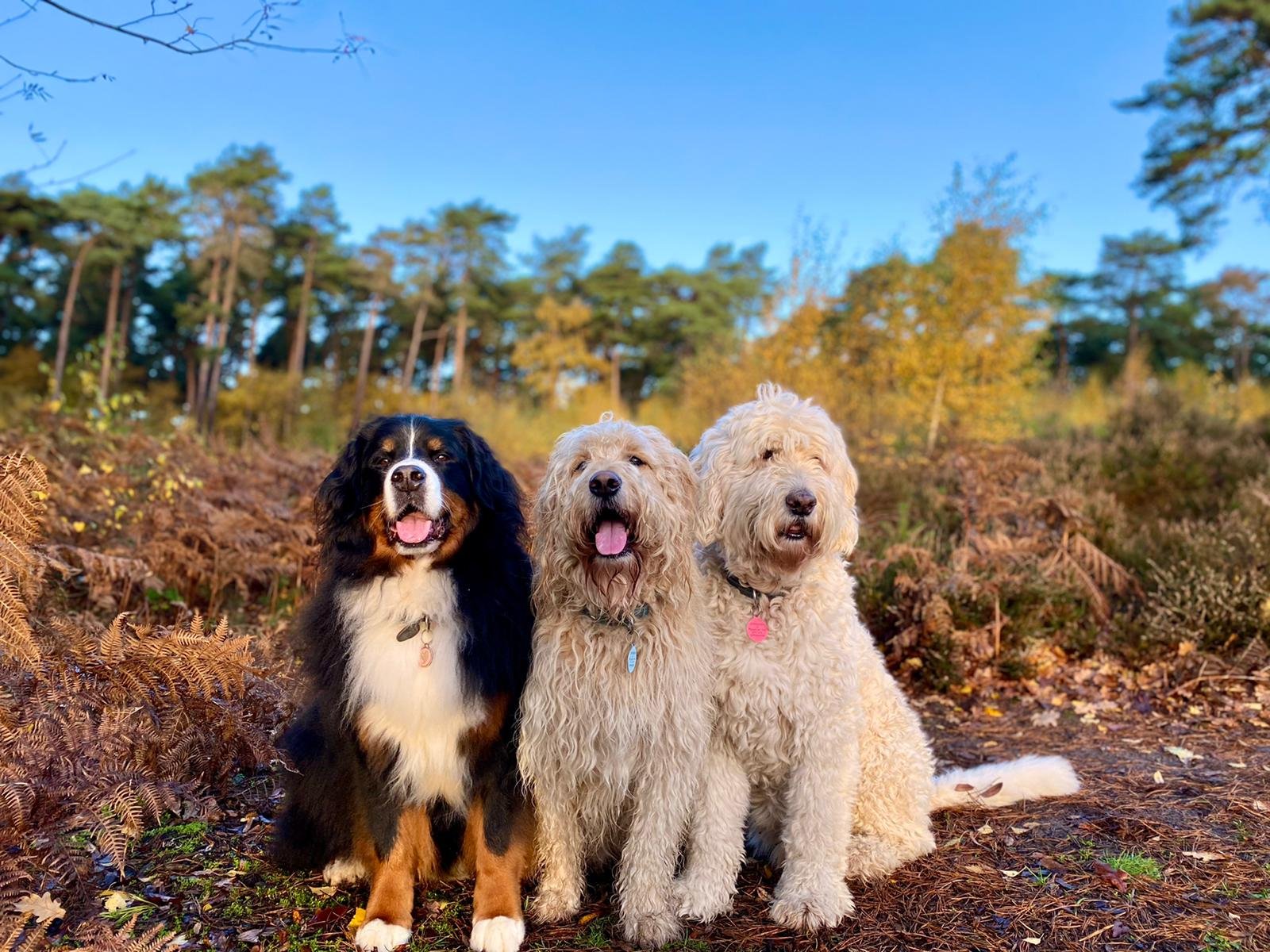 Charlie and Jasper's friend Kami