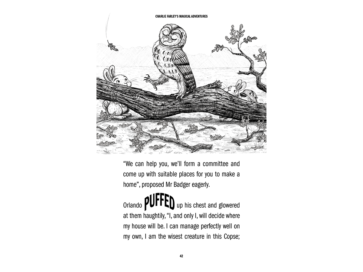 CF5 WEB.png