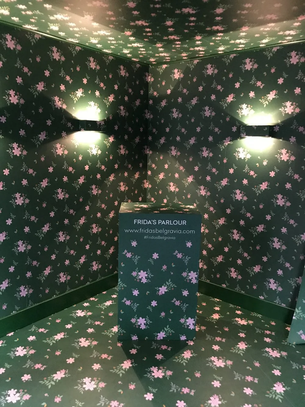 V&A-Frida-Kahlo-Entrance-Interior-Wallpaper.jpg