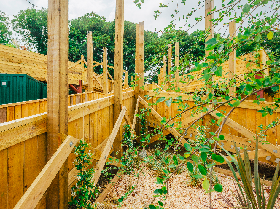 Dreamland-Treehouse-Timber-Framed-Event-Structure-Ramp-Landscaping.png