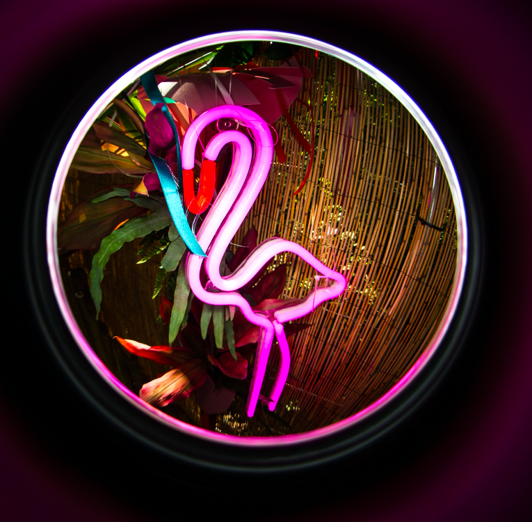 House-Festival-YouTube-Main-Entrance-Corridor-Flamingo-Detail.png