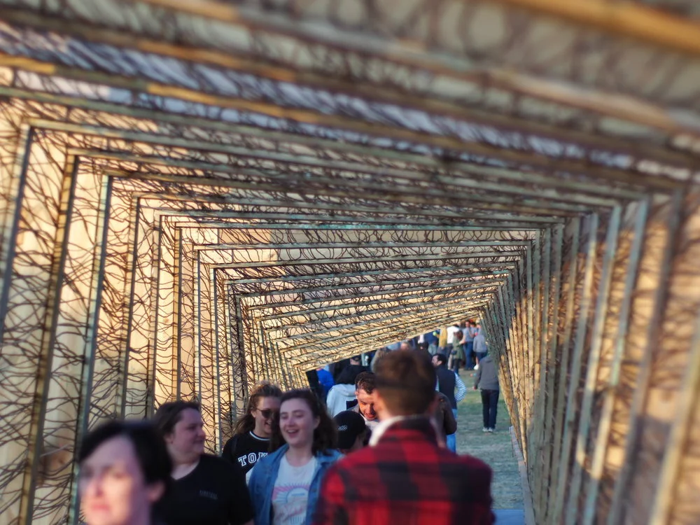 WeWork-Summer-Camp-Festival-2017-Willow-Bridge-Twisting.jpeg